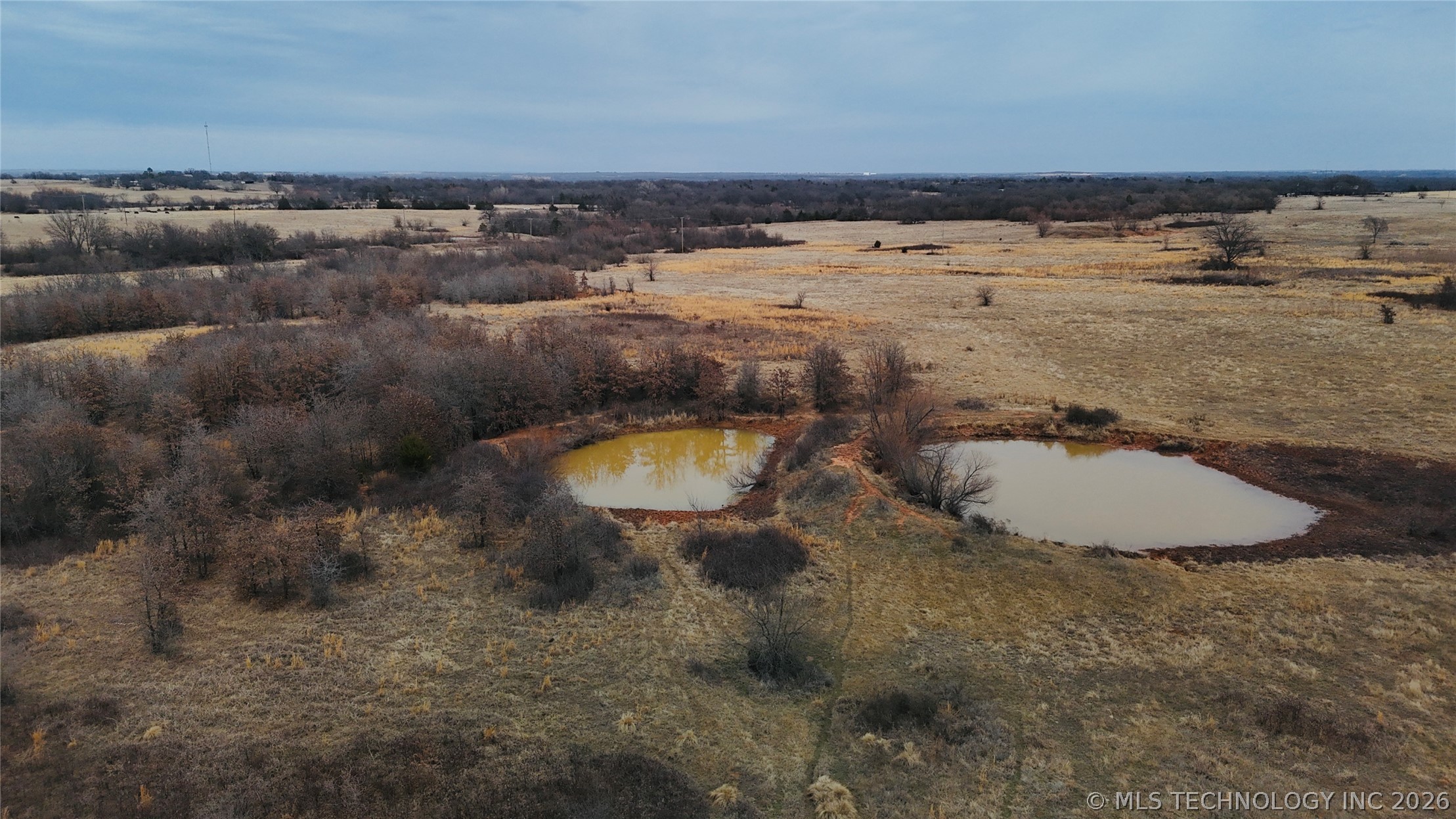 1 Birch Property Photo 2