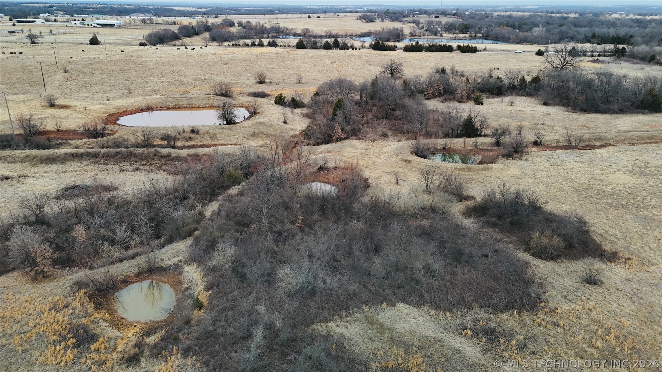 1 Birch Property Photo 6