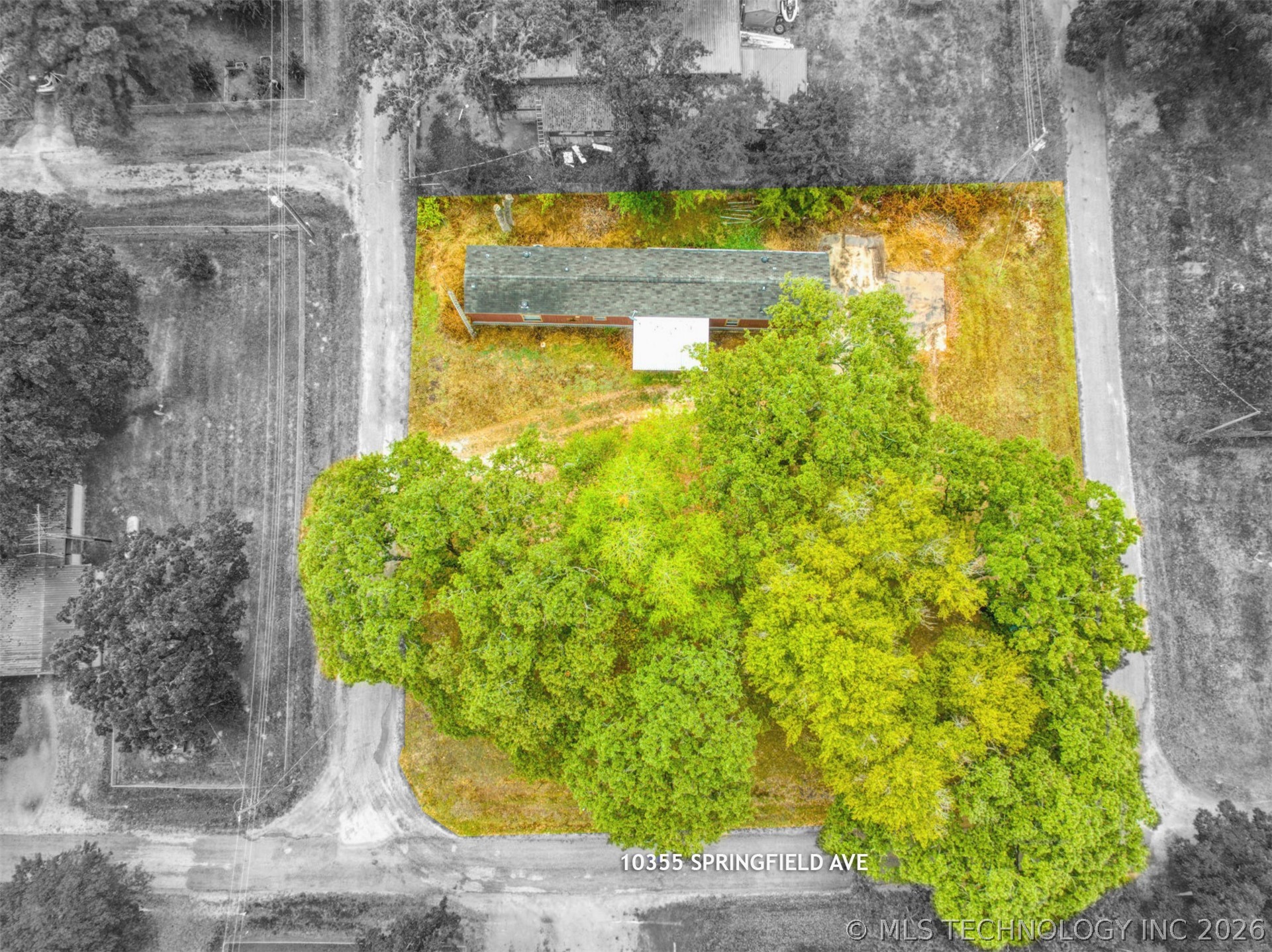 10355 Springfield Property Photo 5