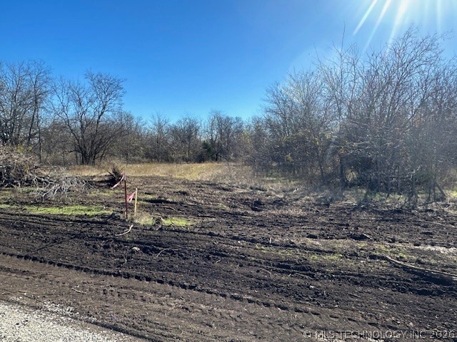 004 Lady Bug Property Photo 2