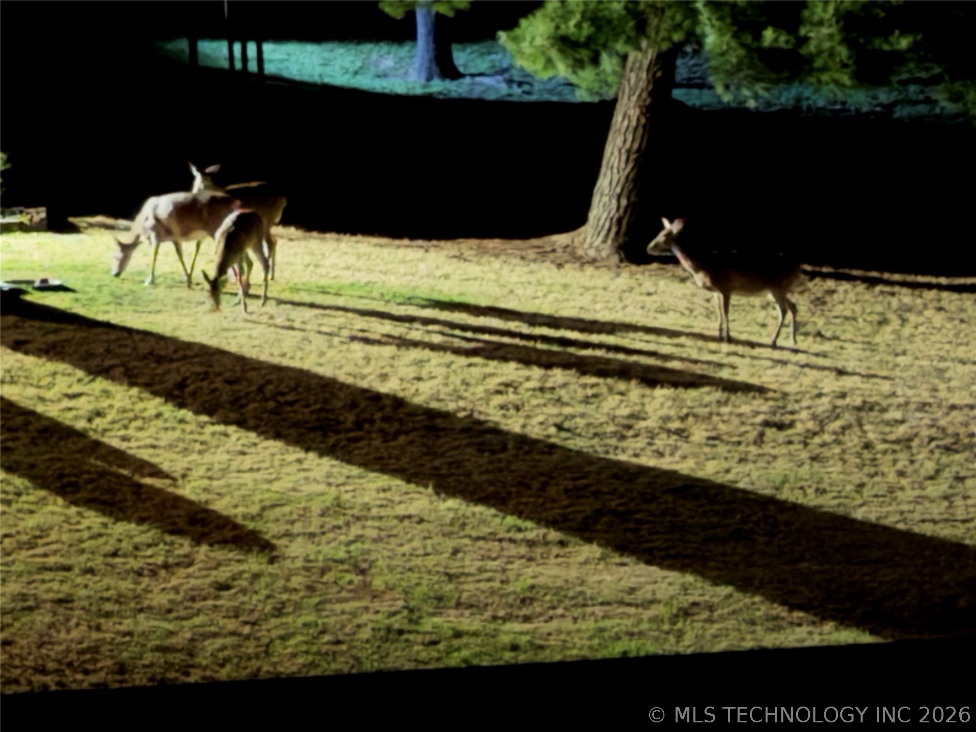 1511 Luker Lane Property Photo 36