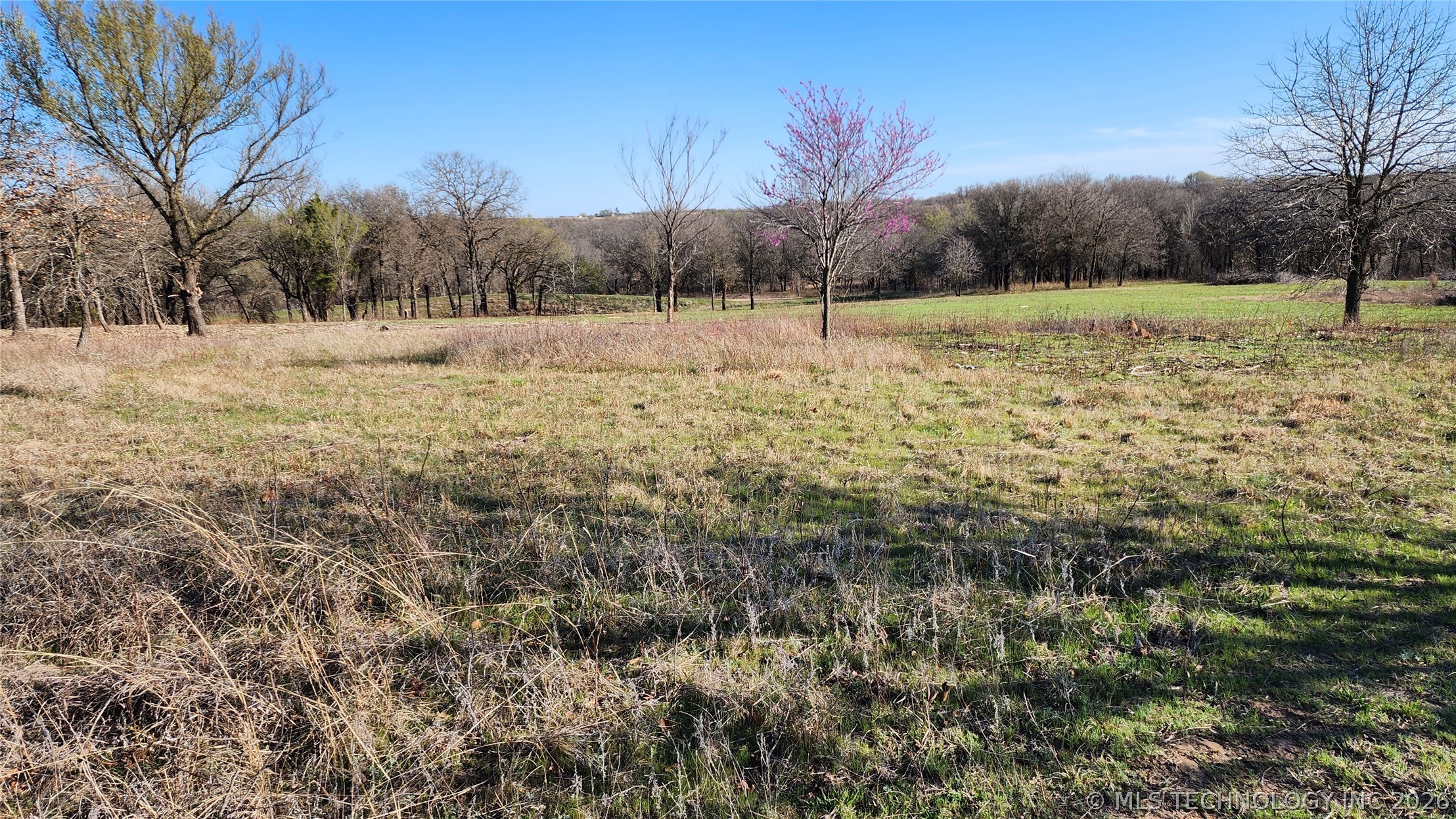 2604767 Property Photo 3