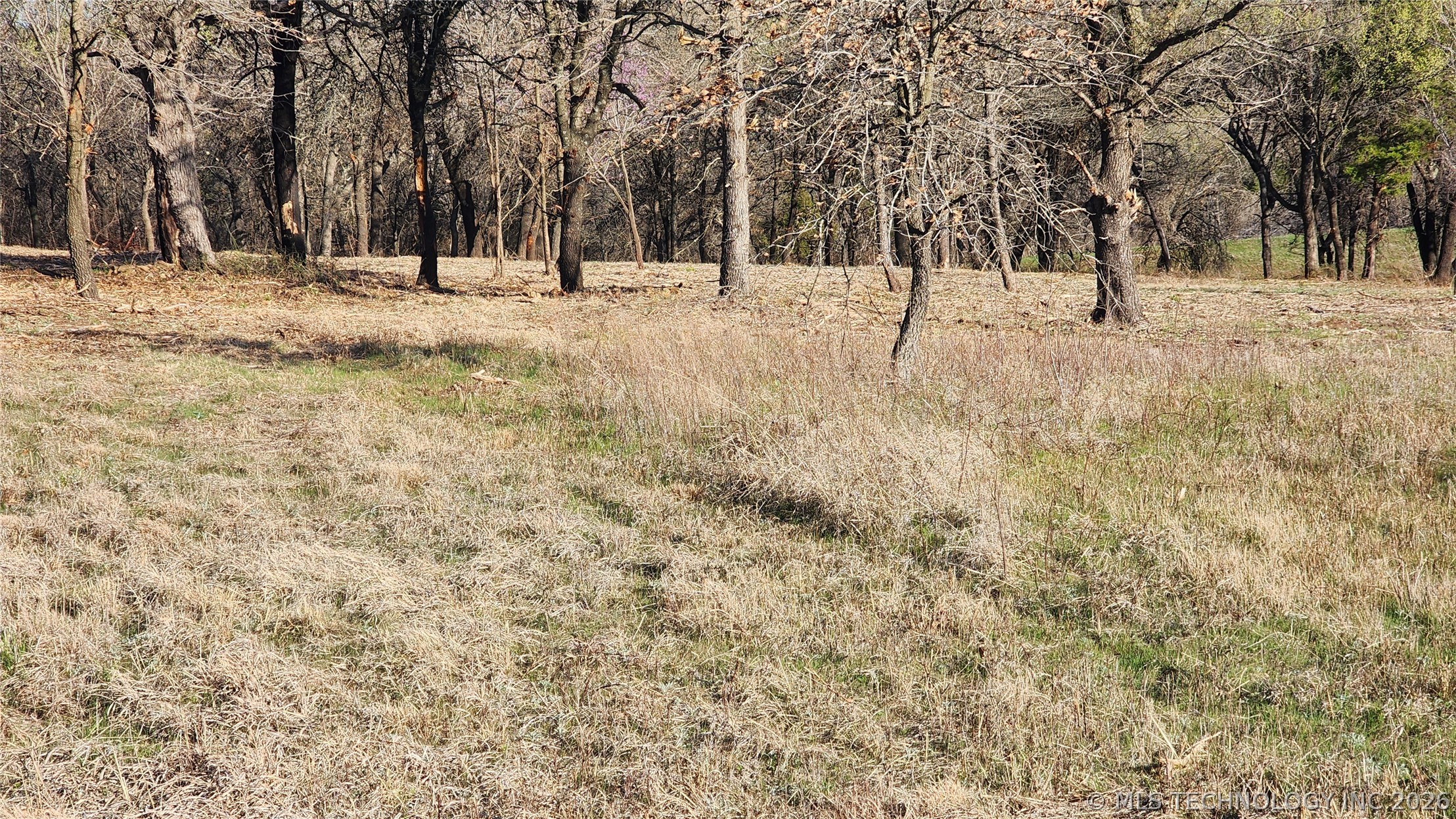 2604767 Property Photo 5