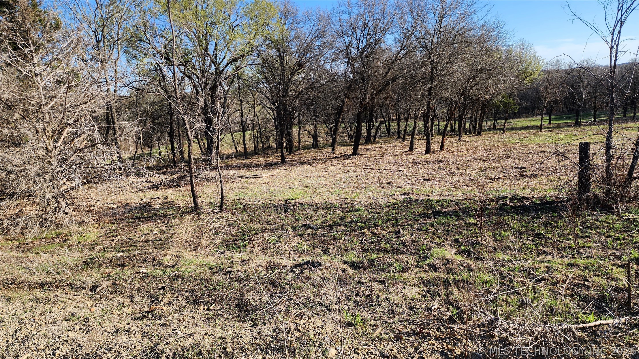 2604767 Property Photo 7