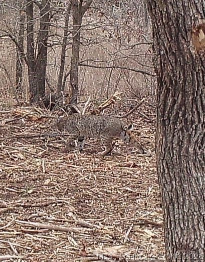 2604767 Property Photo 8