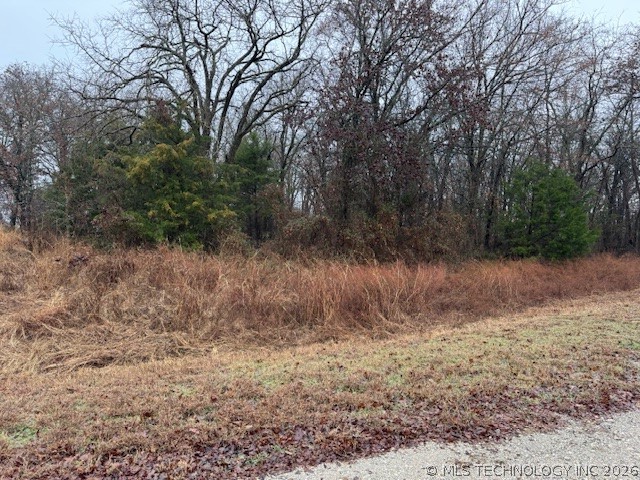 00 Carter Road Property Photo 6