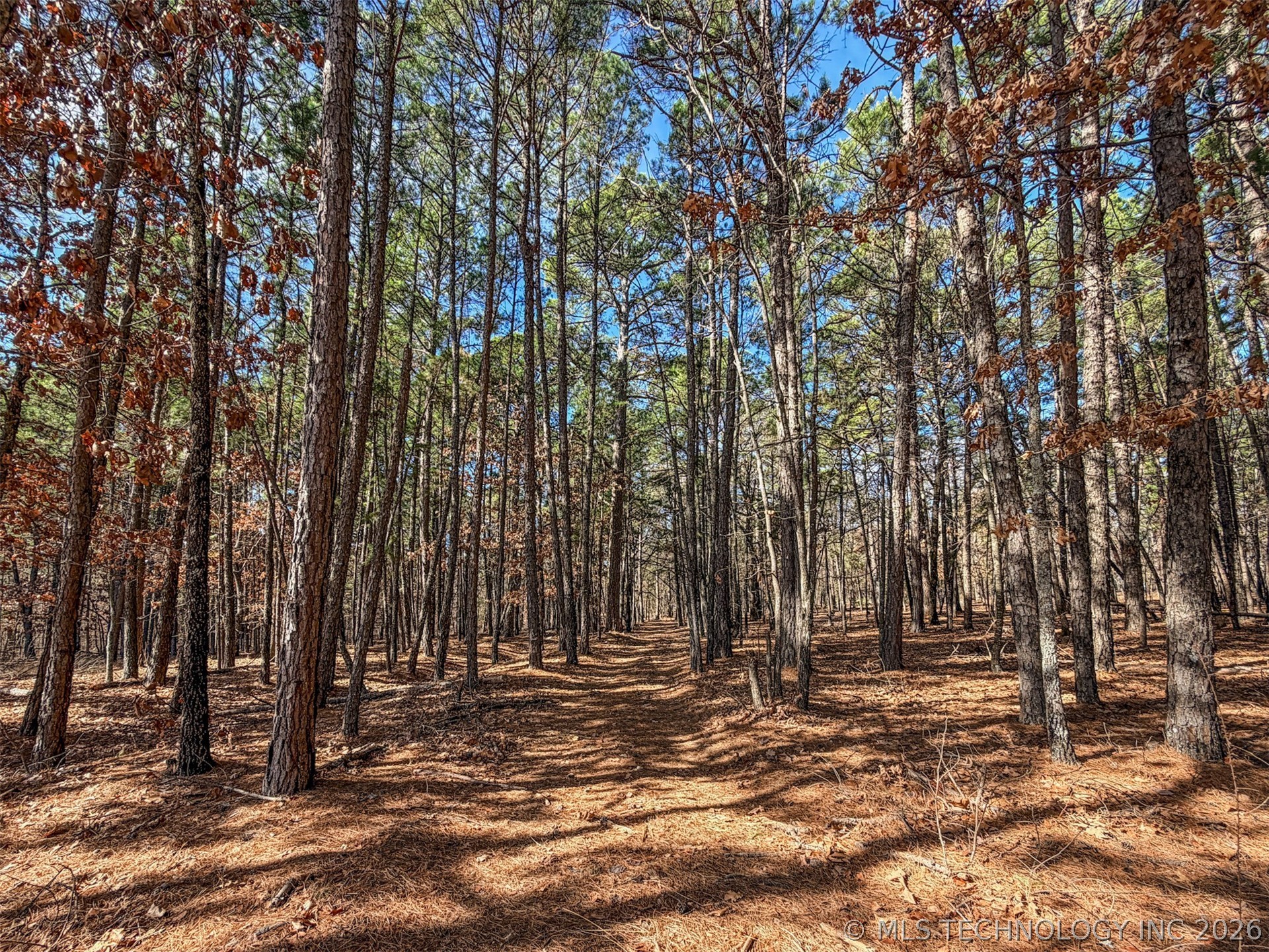 25575 E 785 Road Property Photo 88