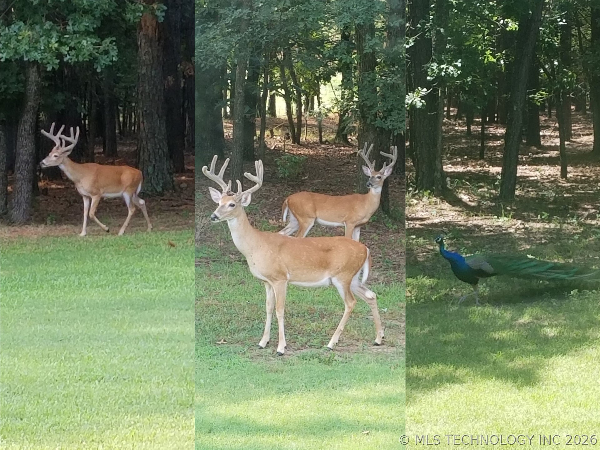 25575 E 785 Road Property Photo 100