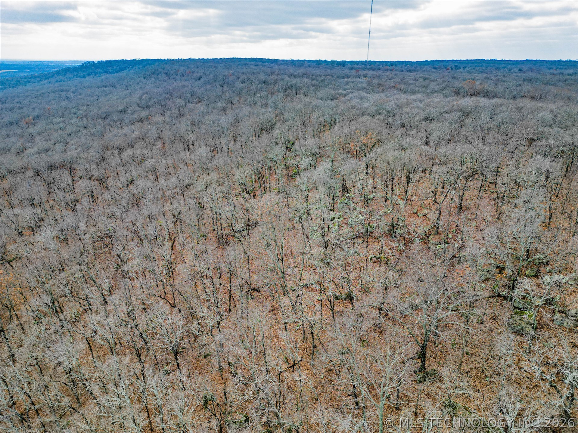 2604860 Property Photo 2