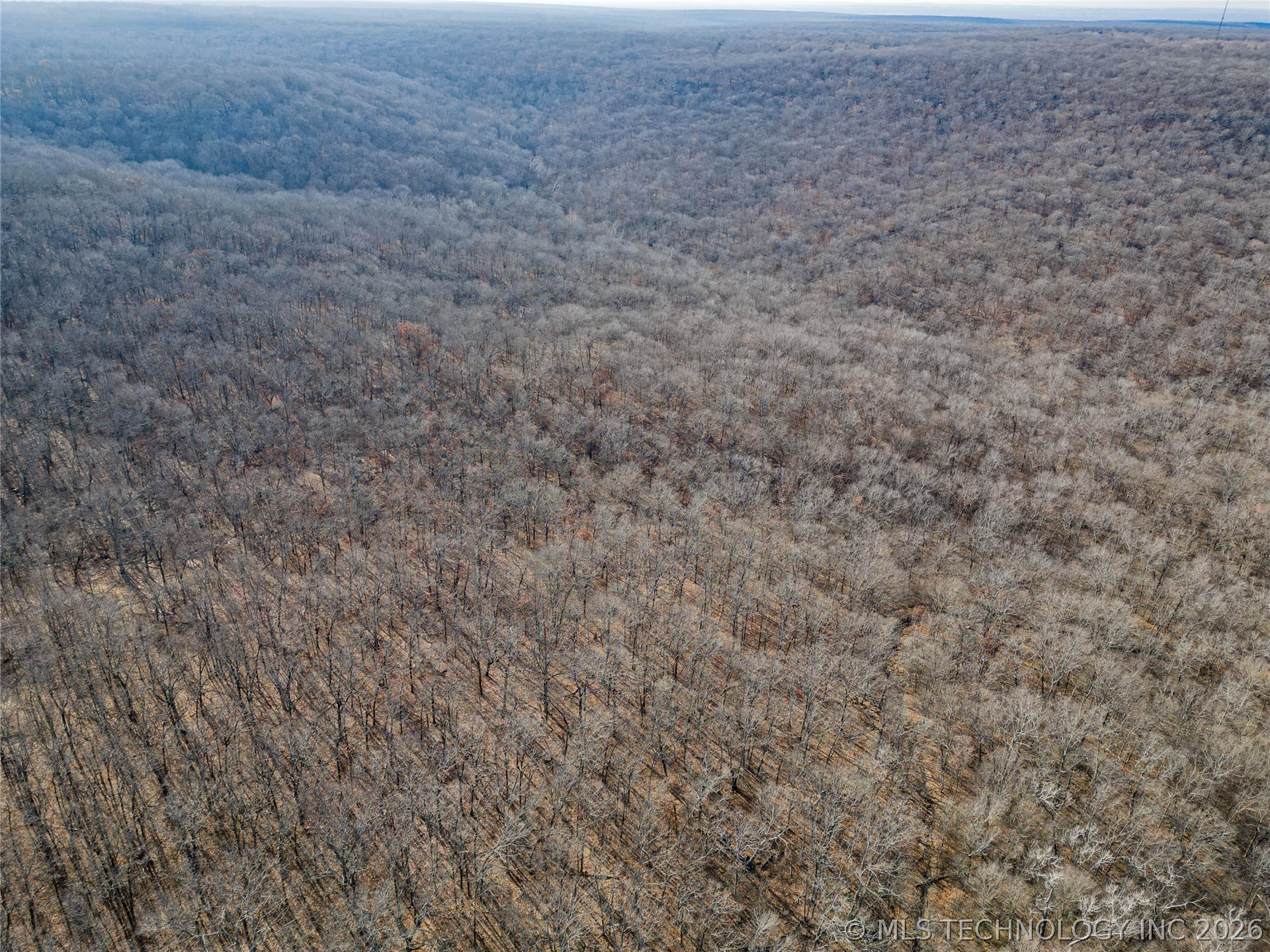 2604860 Property Photo 5