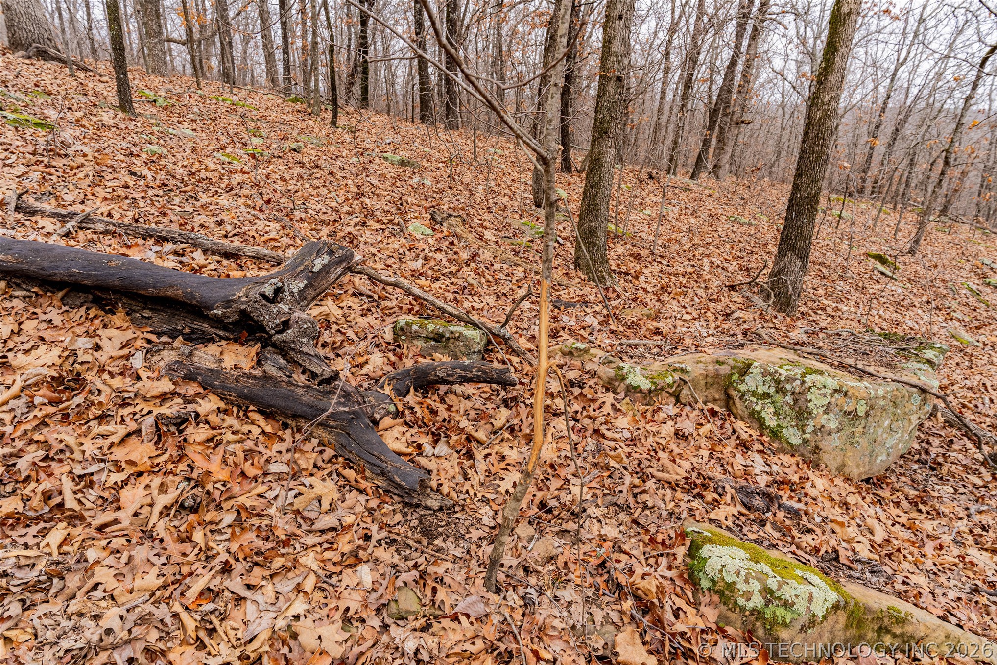 2604860 Property Photo 7