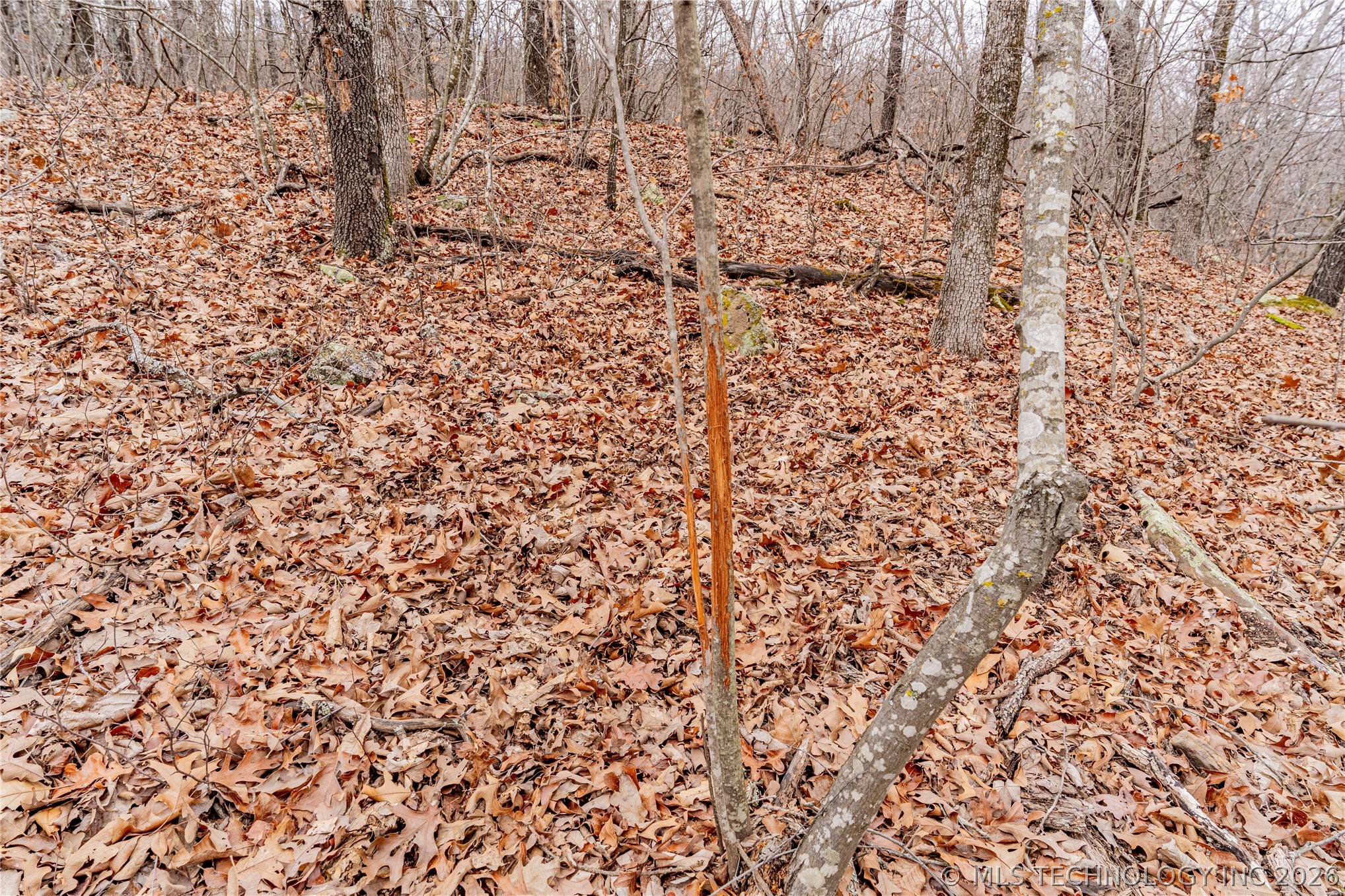 2604860 Property Photo 8