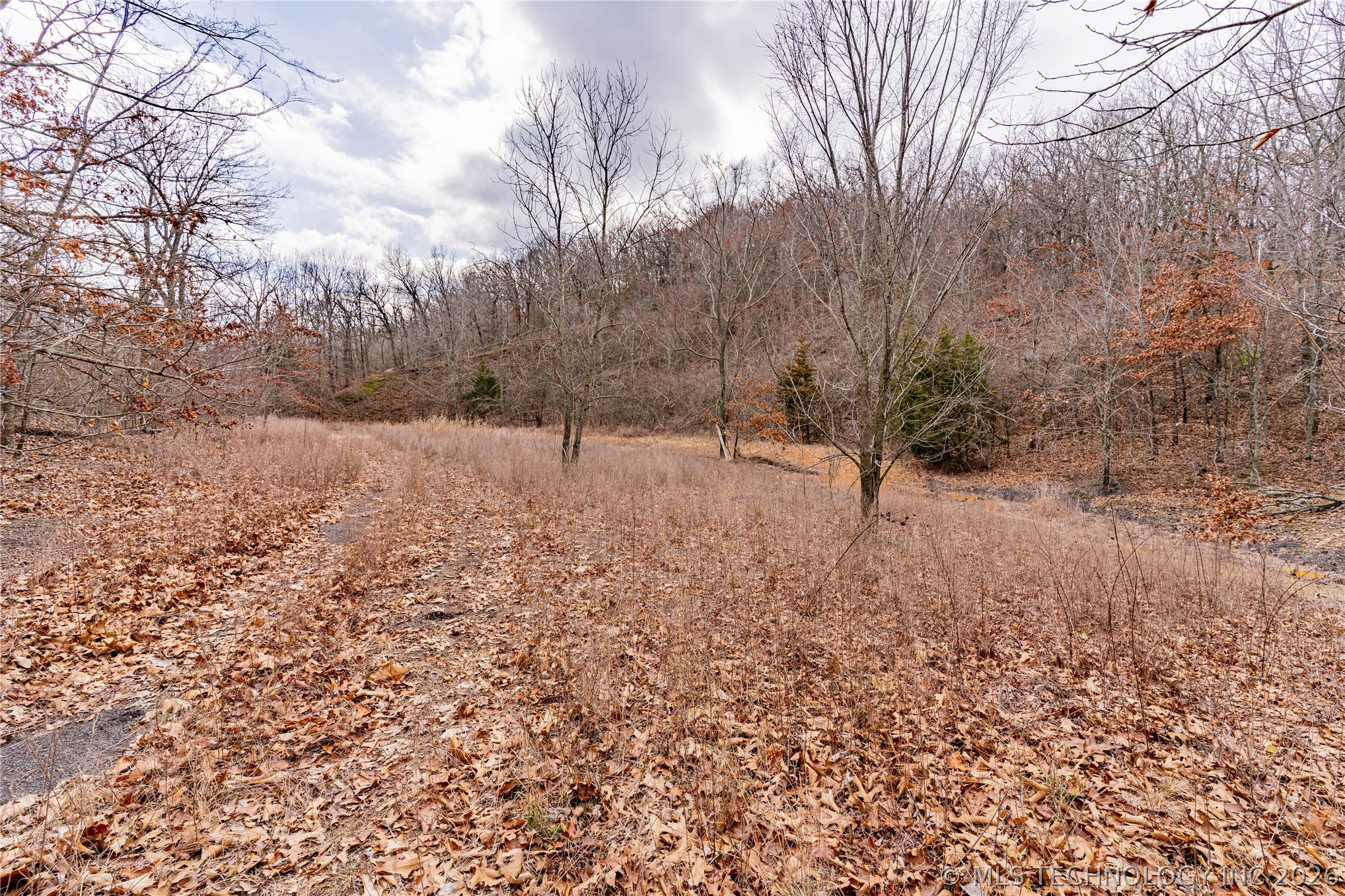 2604860 Property Photo 10