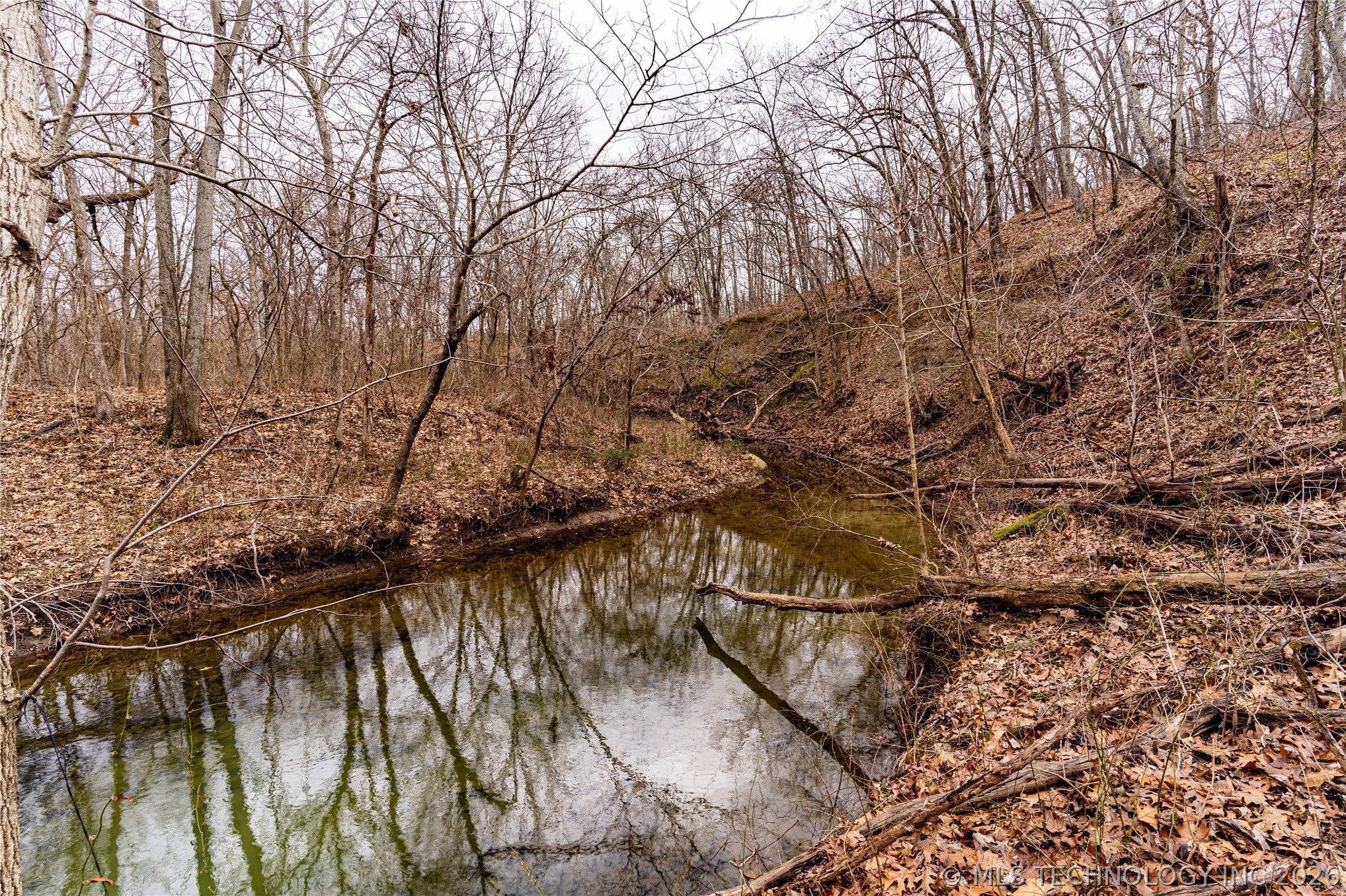 2604860 Property Photo 11