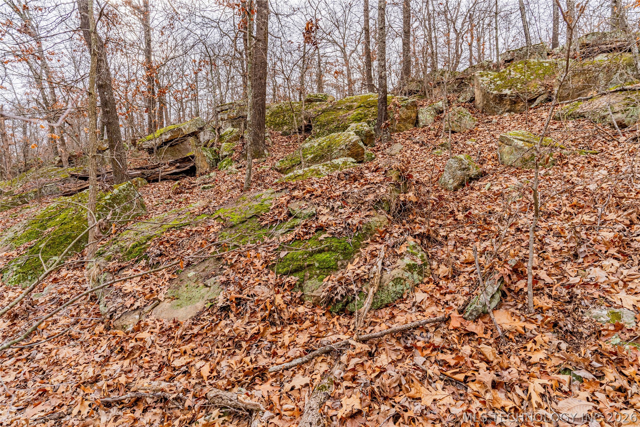 2604860 Property Photo 13