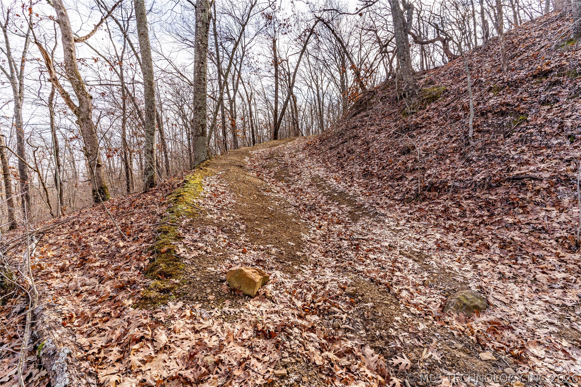 2604860 Property Photo 14