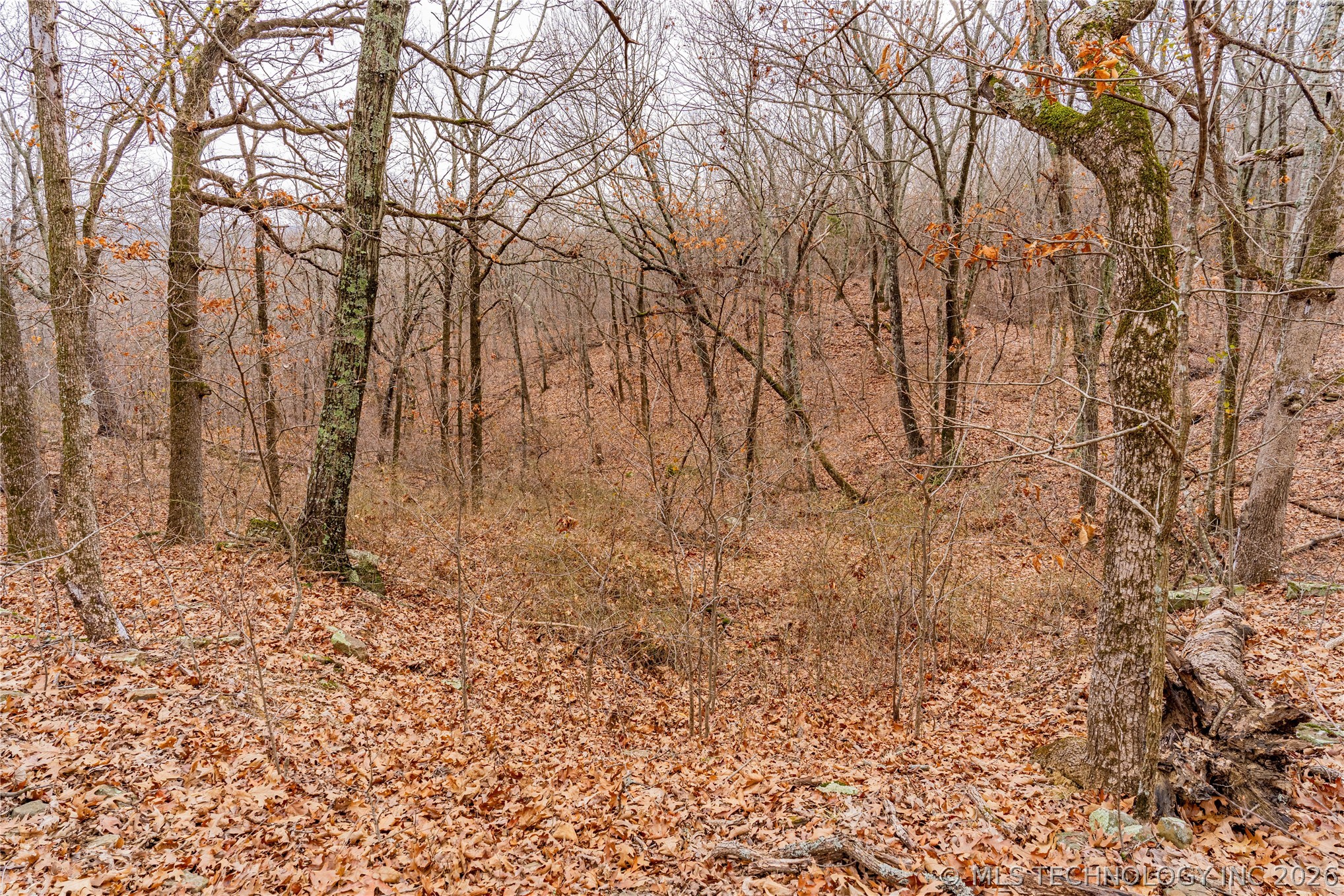 2604860 Property Photo 15