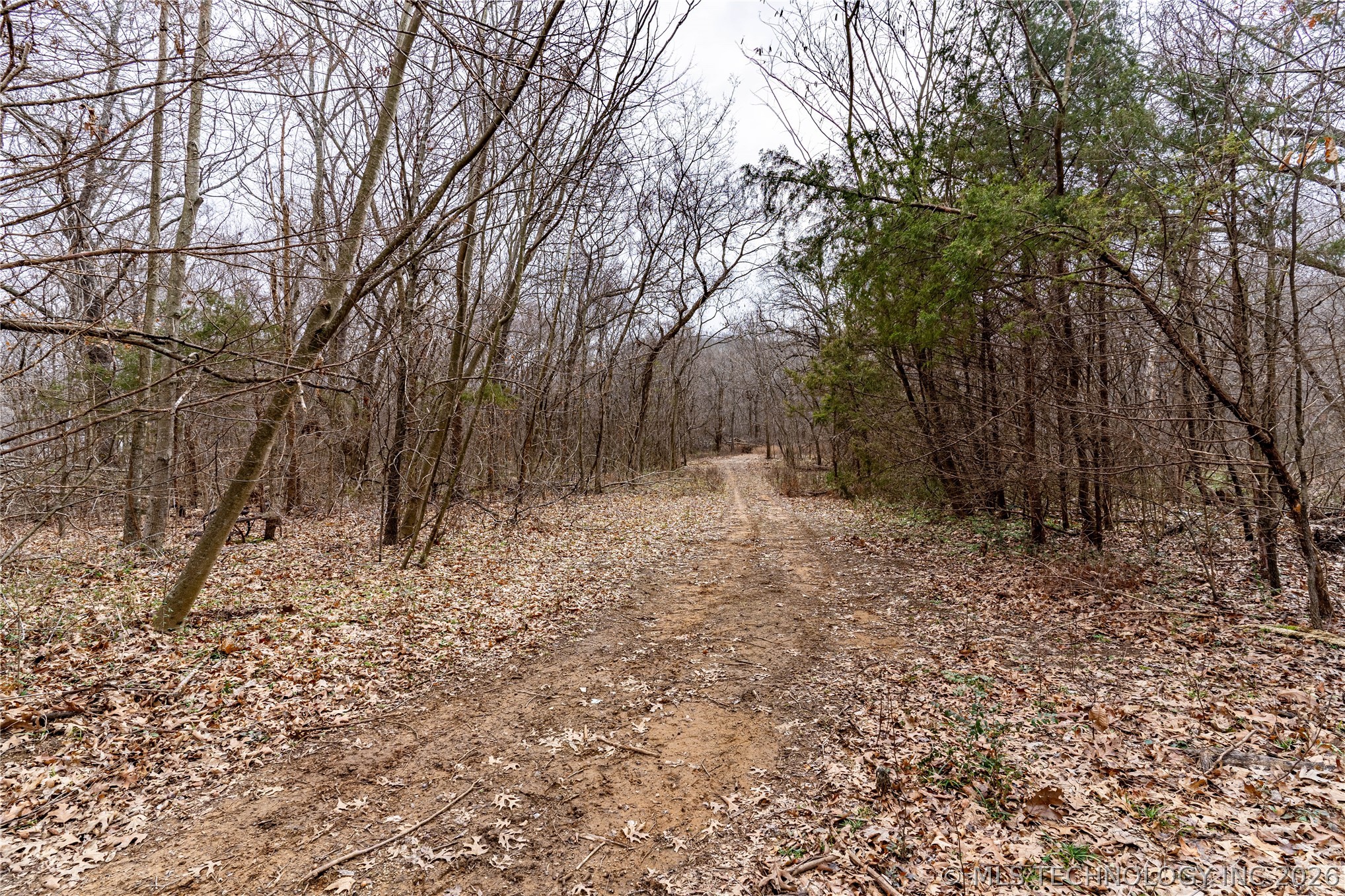 2604860 Property Photo 16