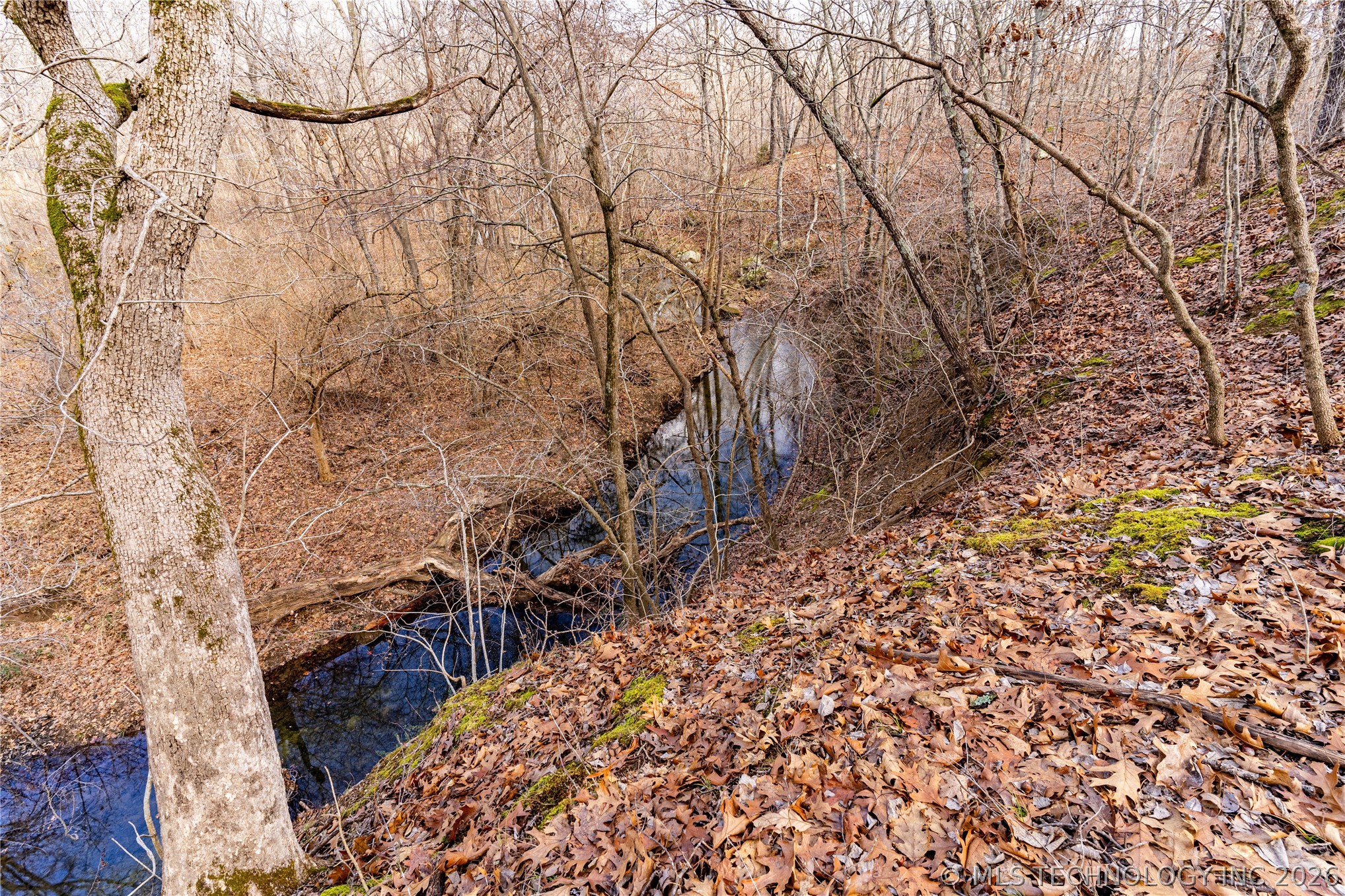 2604860 Property Photo 17