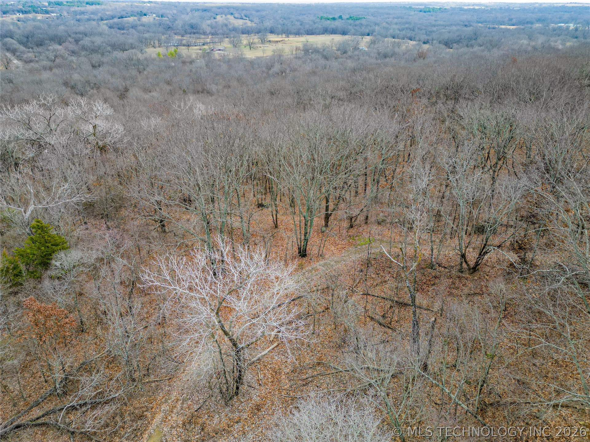 2604860 Property Photo 18