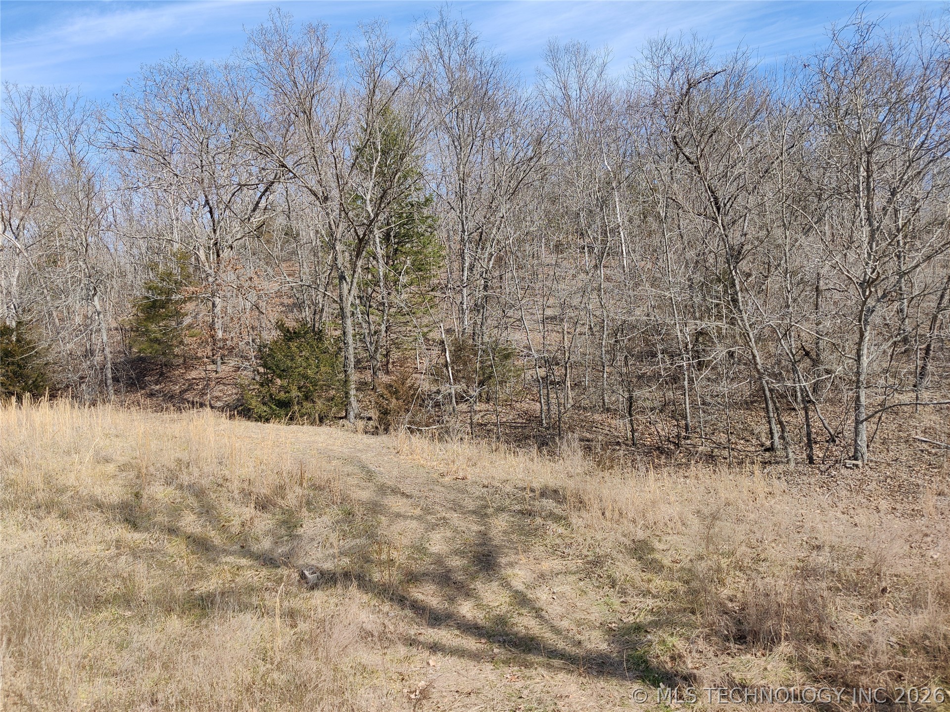 25546 E 613 Road Property Photo 3
