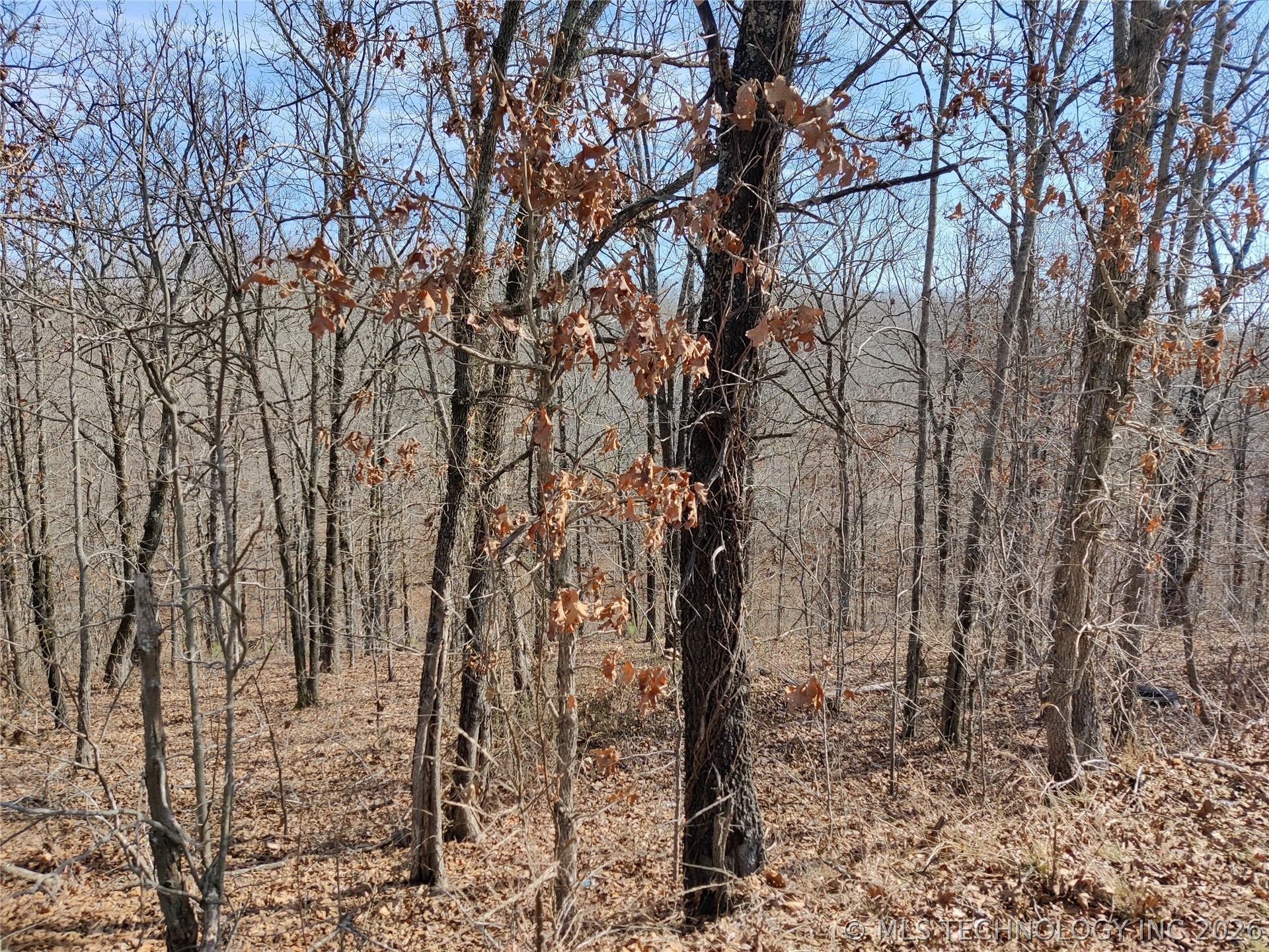 25546 E 613 Road Property Photo 14