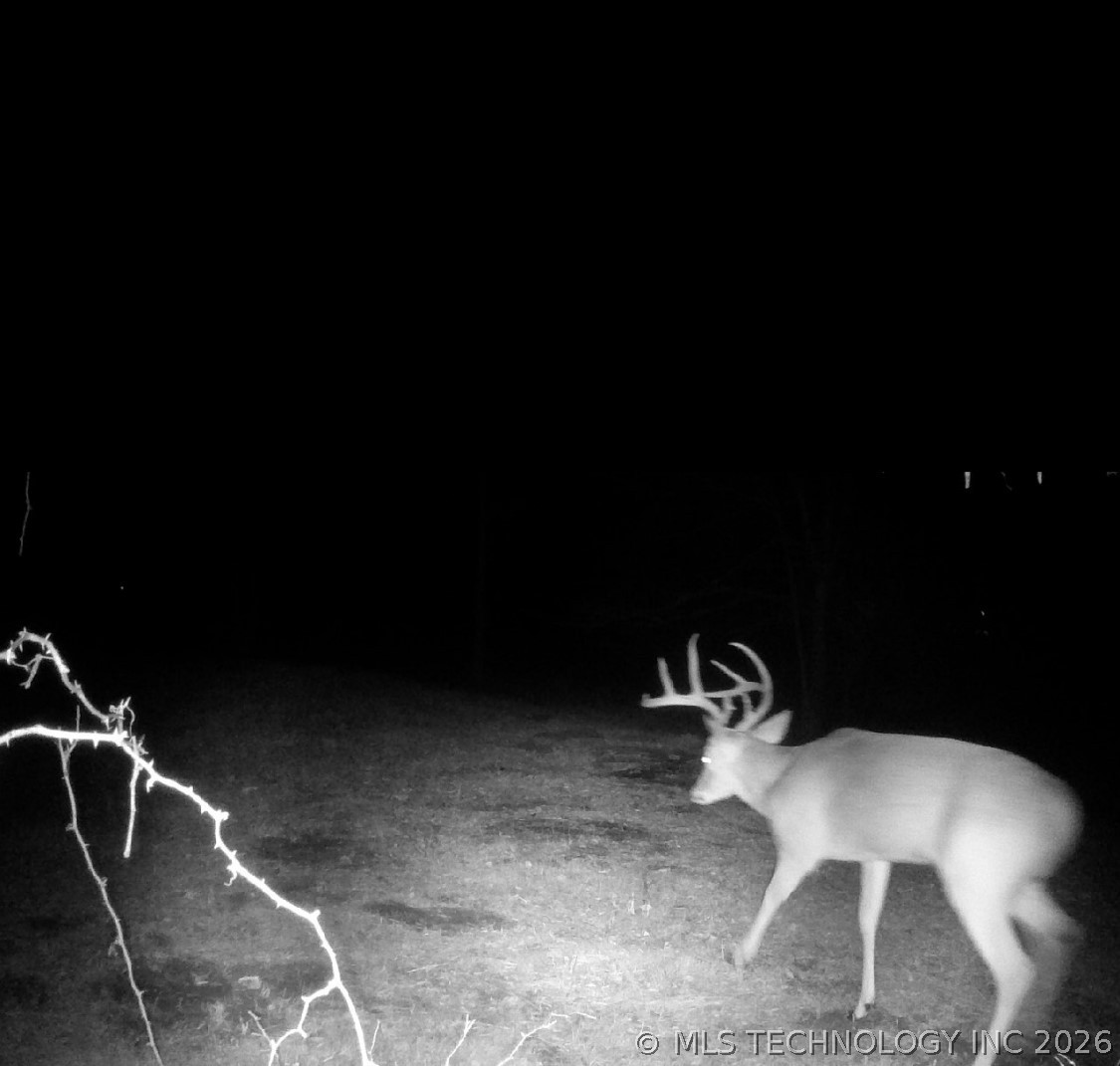 22841 County Road 3620 Property Photo 74