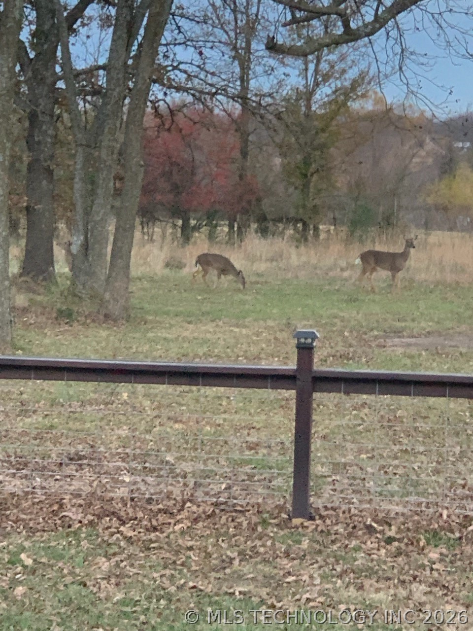 22841 County Road 3620 Property Photo 75