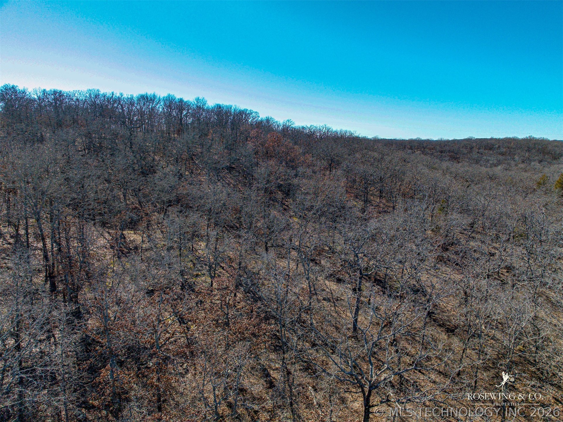 Hwy 75 Property Photo 31