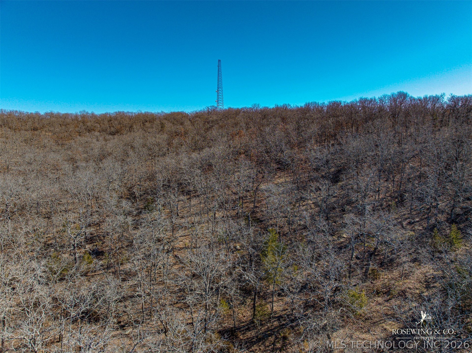 Hwy 75 Property Photo 33