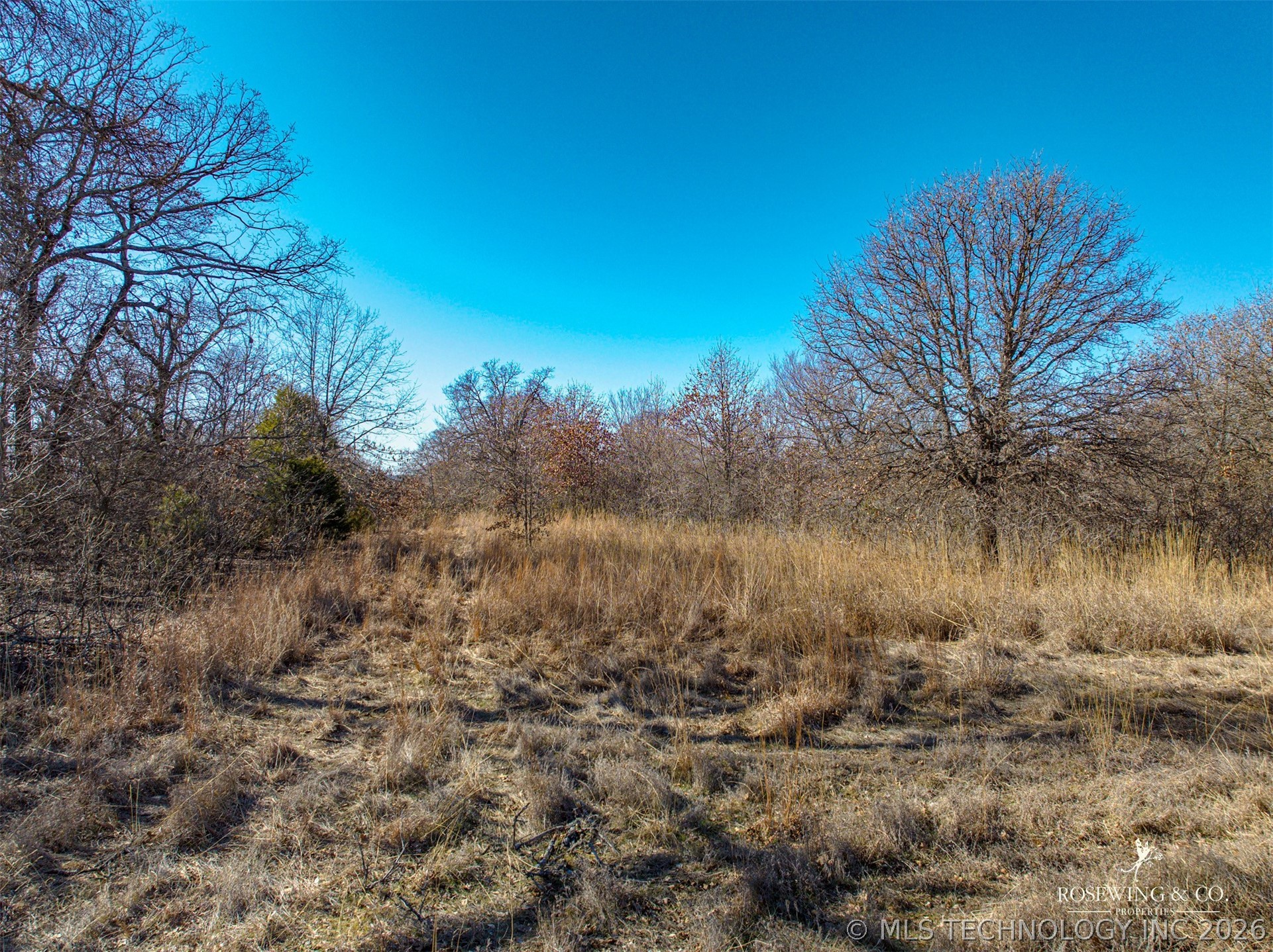 Hwy 75 Property Photo 34