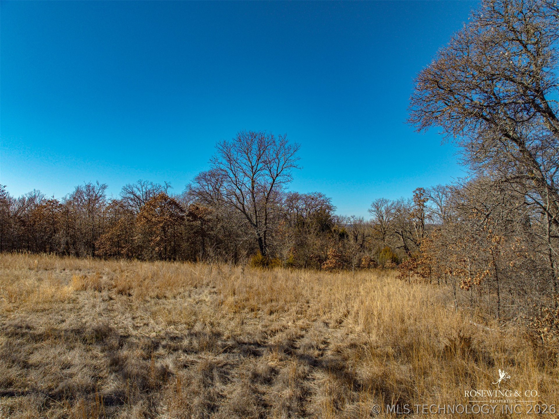 Hwy 75 Property Photo 37