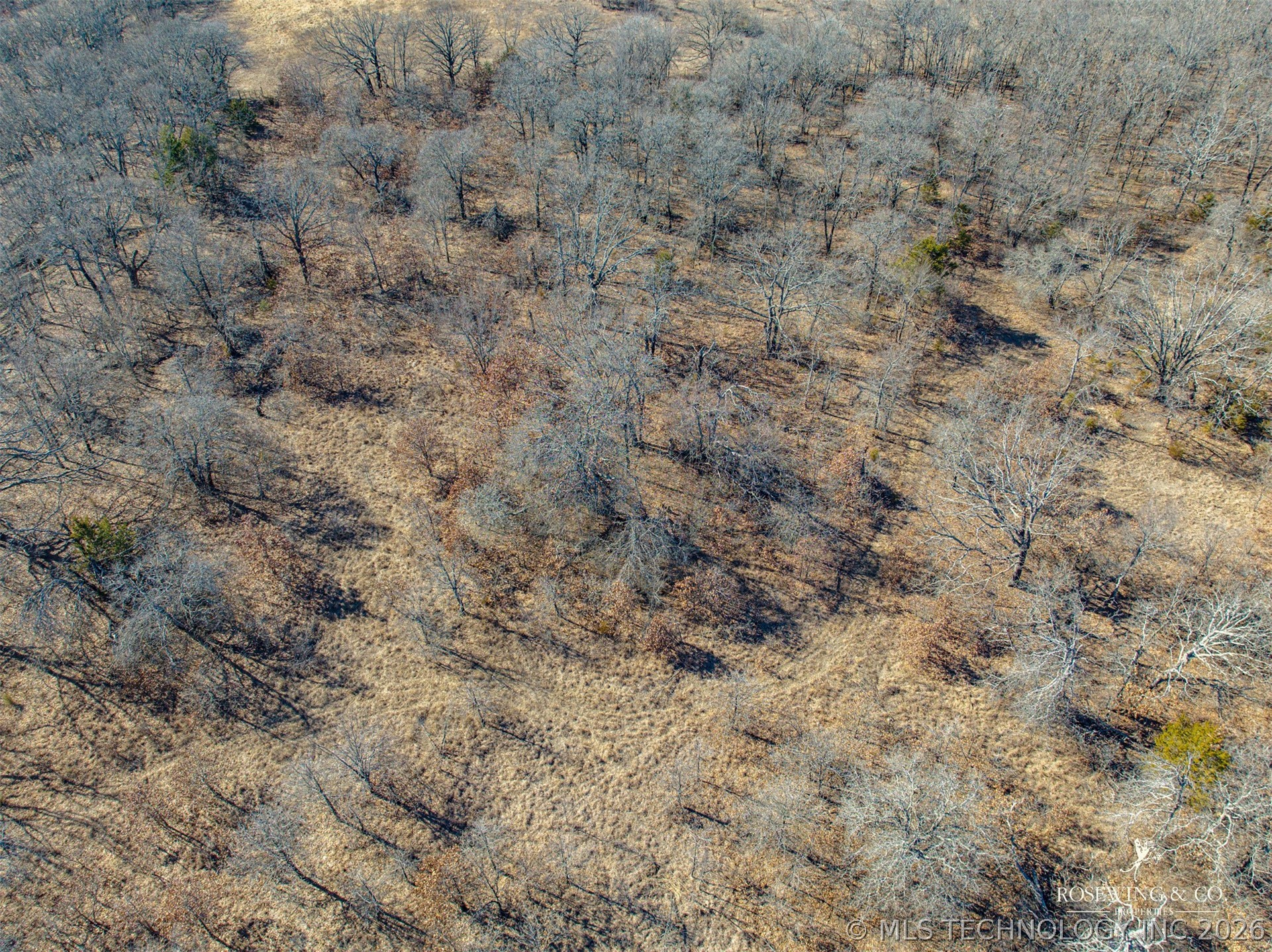 Hwy 75 Property Photo 38