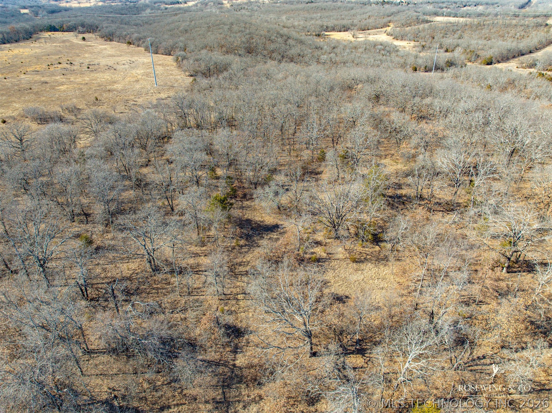 Hwy 75 Property Photo 39