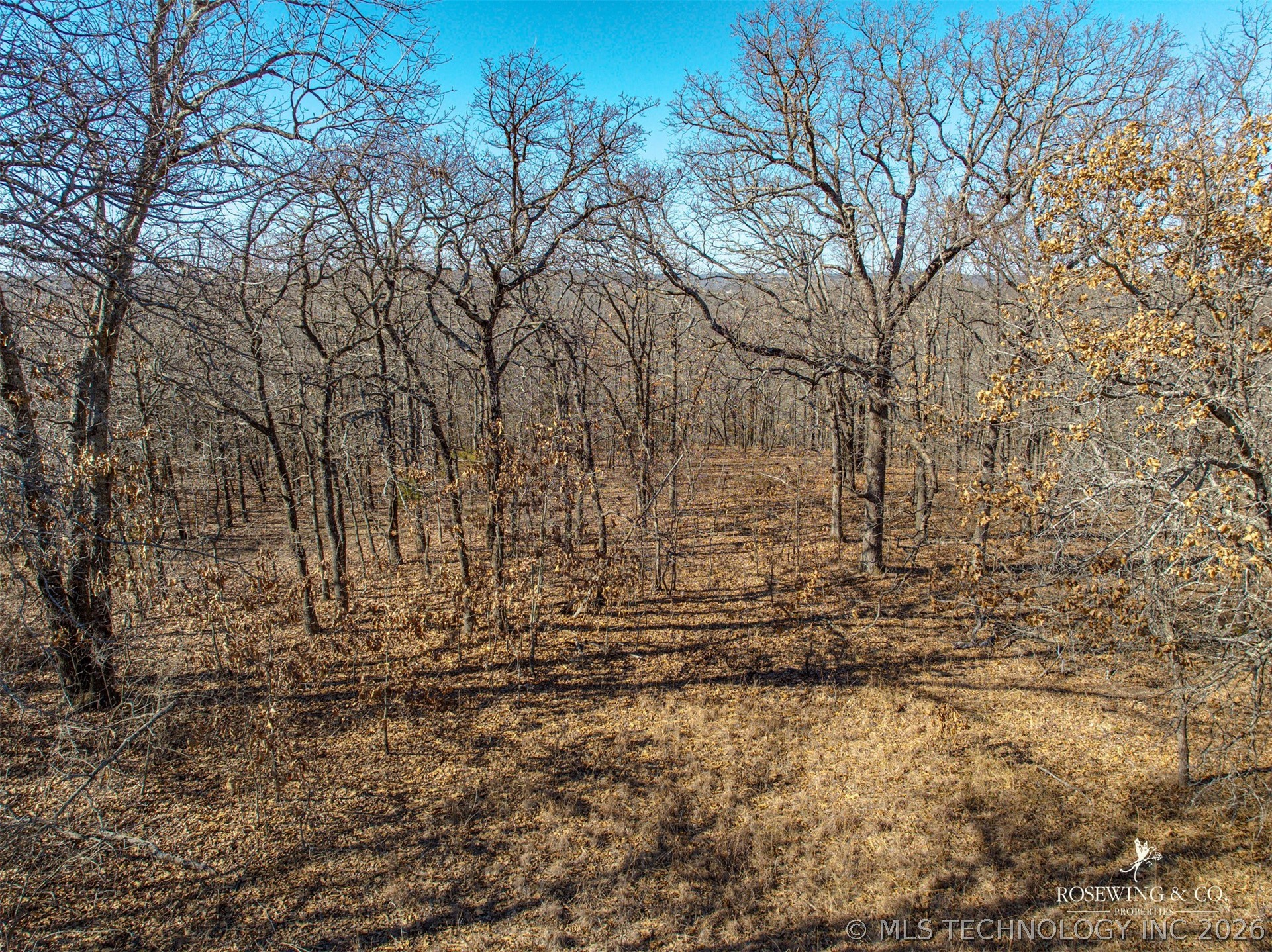 Hwy 75 Property Photo 42