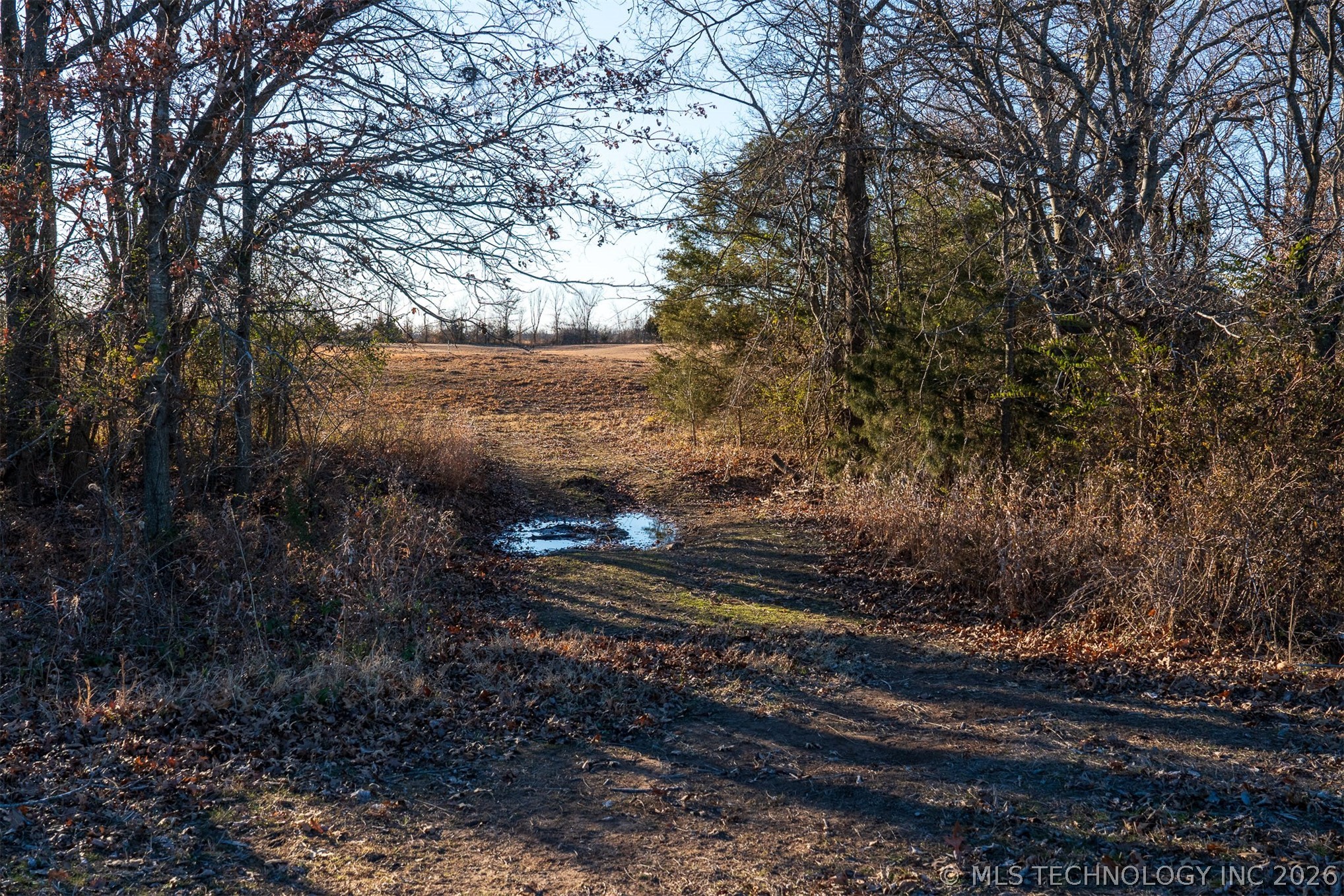 17 N 50th Street W Property Photo 27