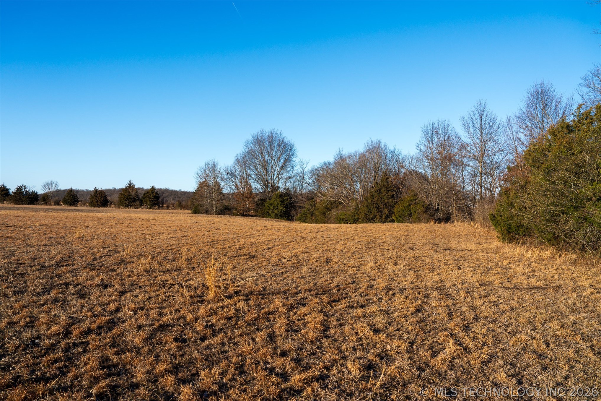 17 N 50th Street W Property Photo 31