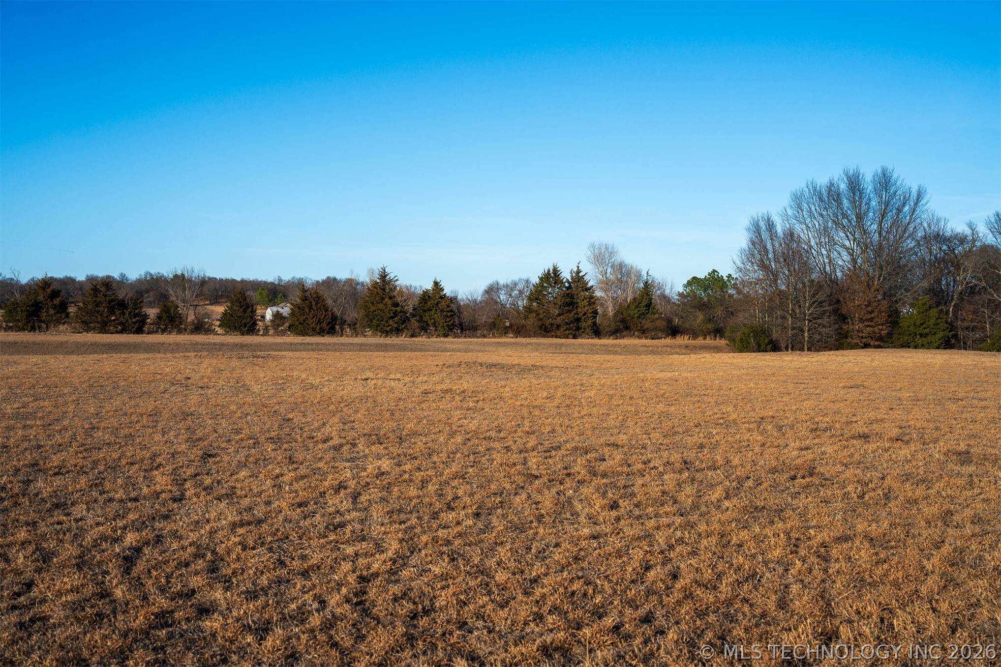 17 N 50th Street W Property Photo 33