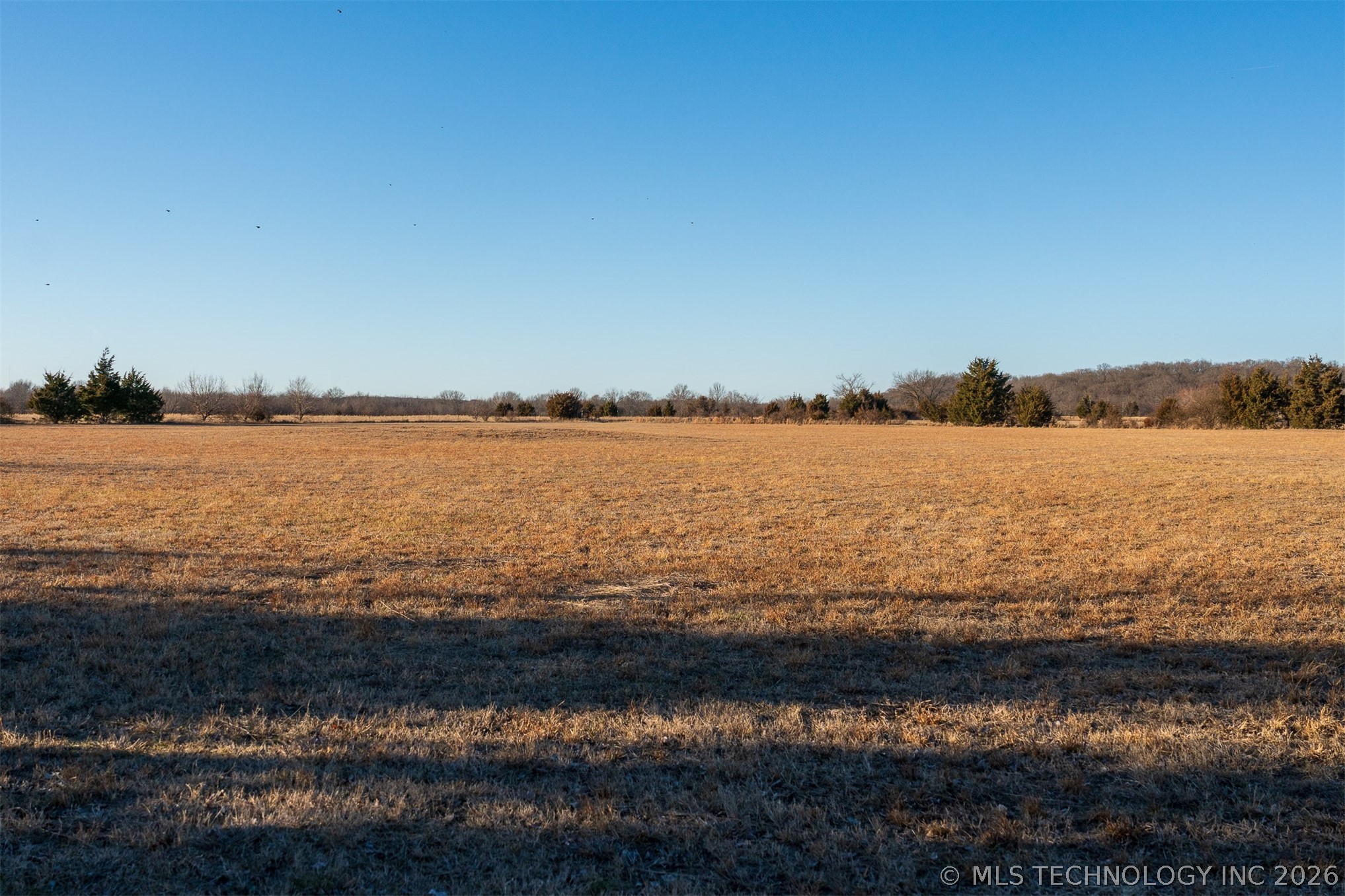 17 N 50th Street W Property Photo 36