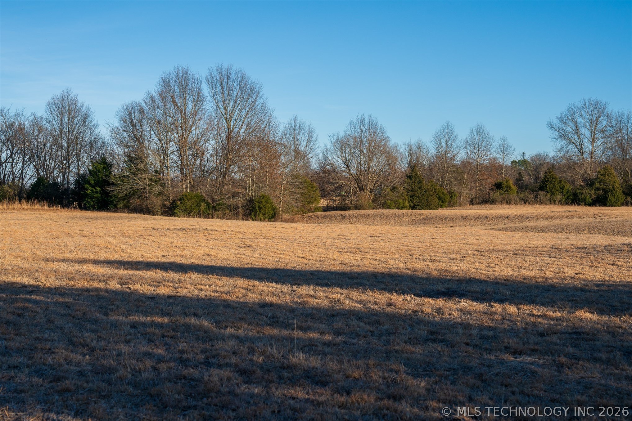 17 N 50th Street W Property Photo 41