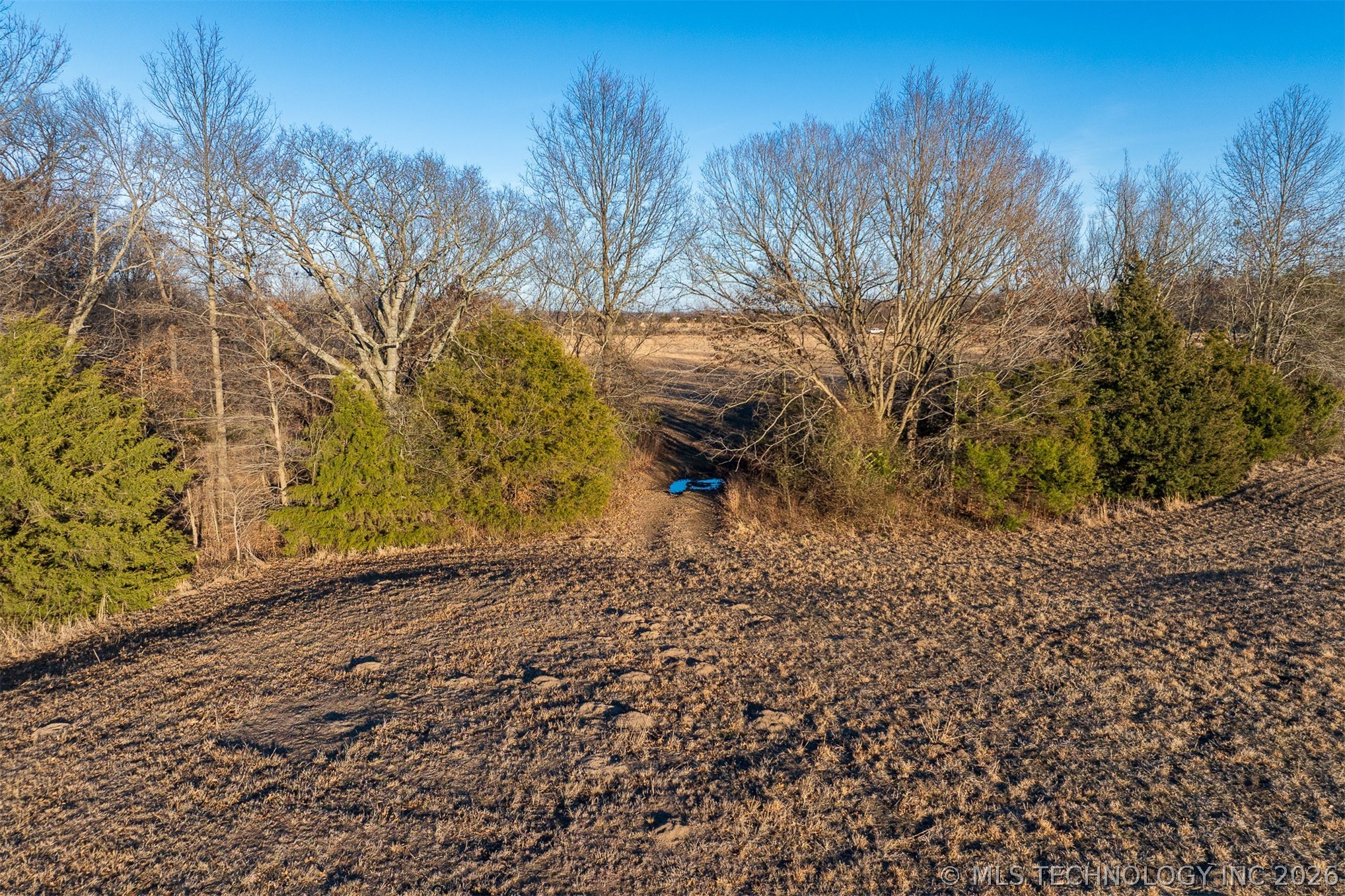 17 N 50th Street W Property Photo 64