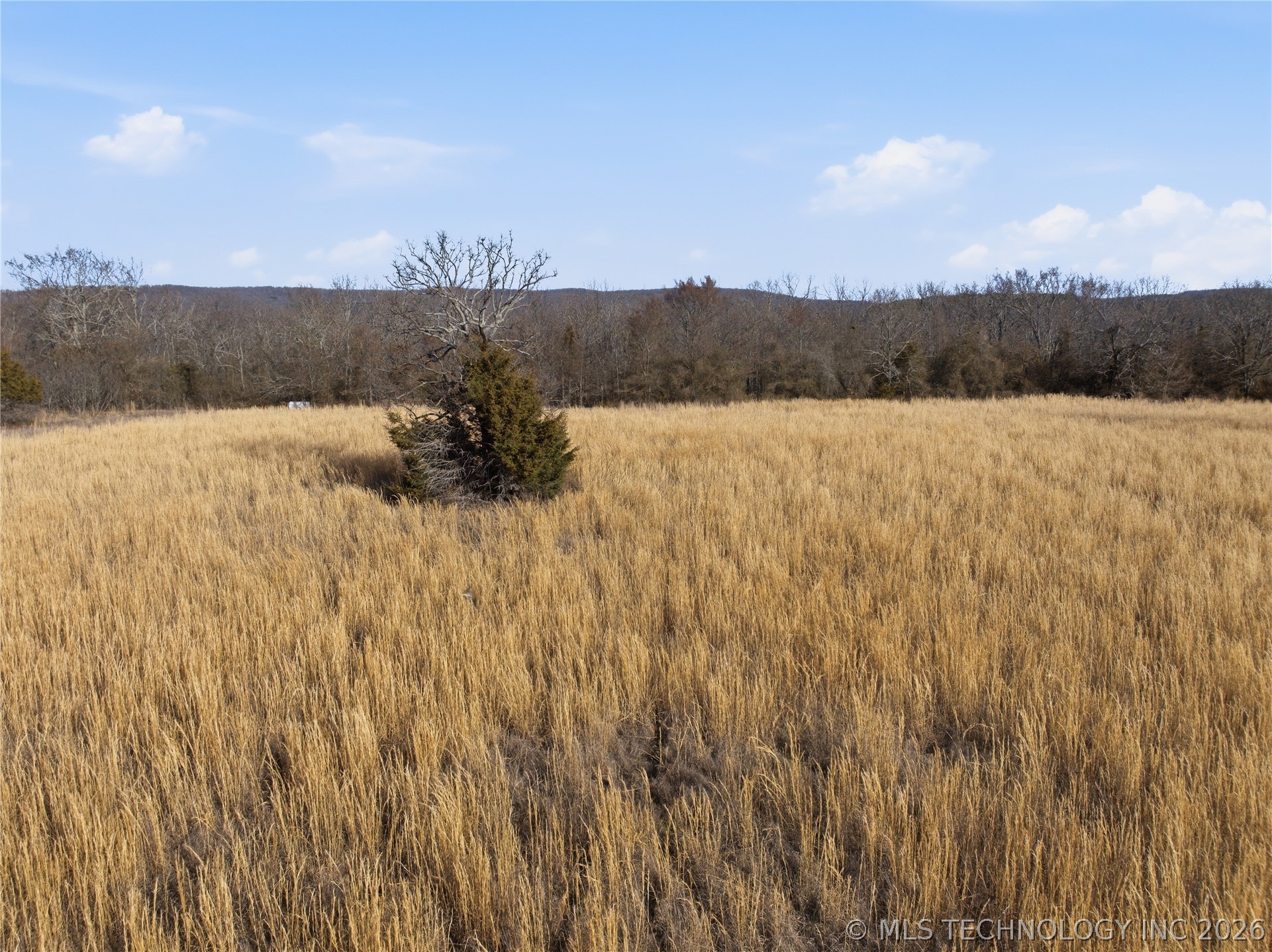 98426 Us Highway 59 Property Photo 28