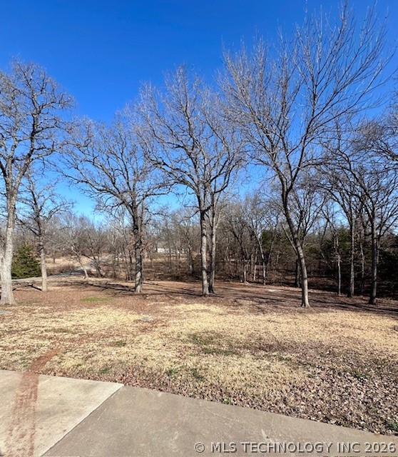 383 Bridlewood Drive Property Photo 28