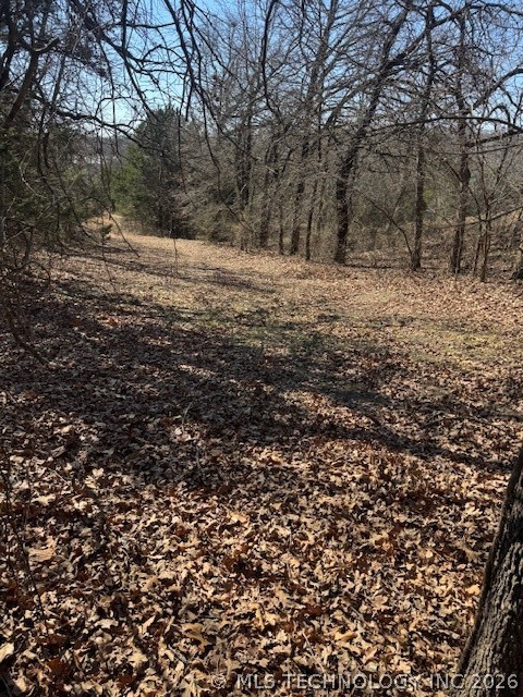 309 N Elks Property Photo 11