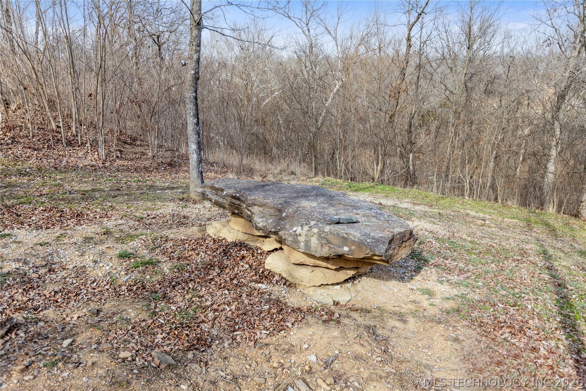 11802 S Hickory Lane Property Photo 44
