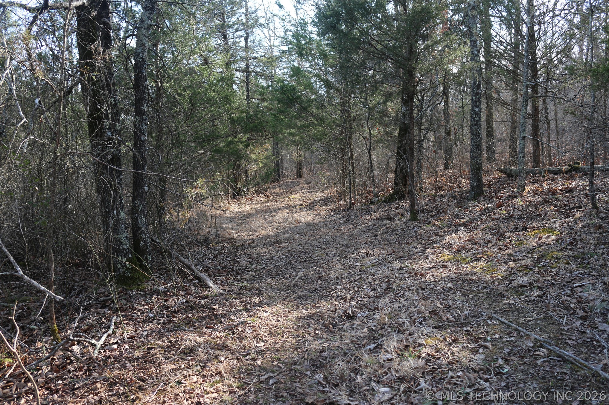 Kirk Mountain Property Photo 2