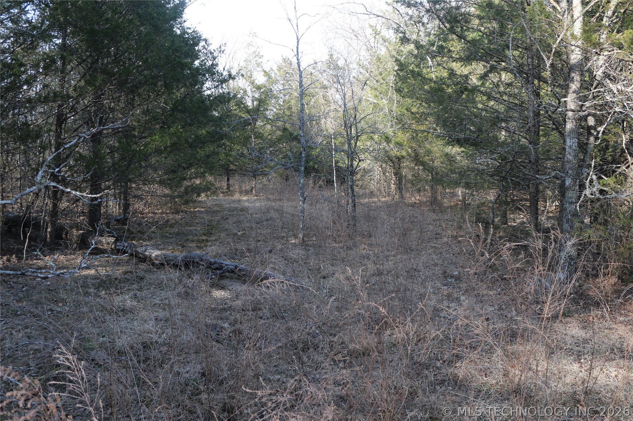 Kirk Mountain Property Photo 3