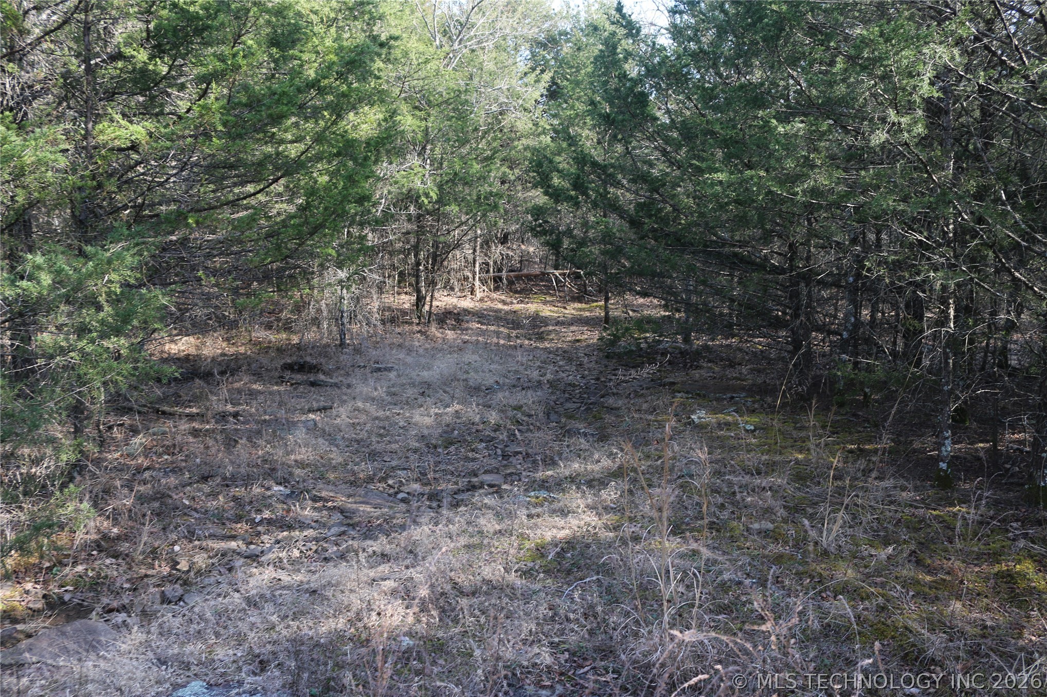 Kirk Mountain Property Photo 4