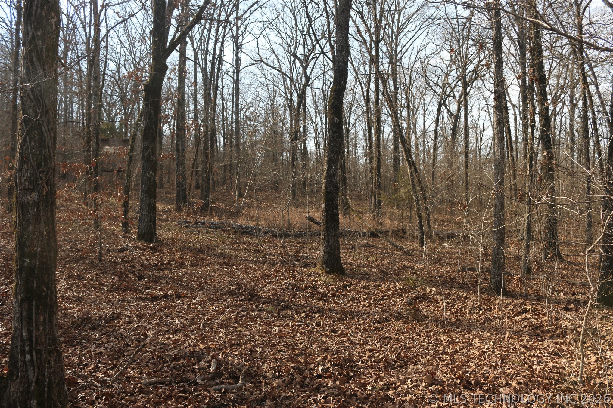 Kirk Mountain Property Photo 5