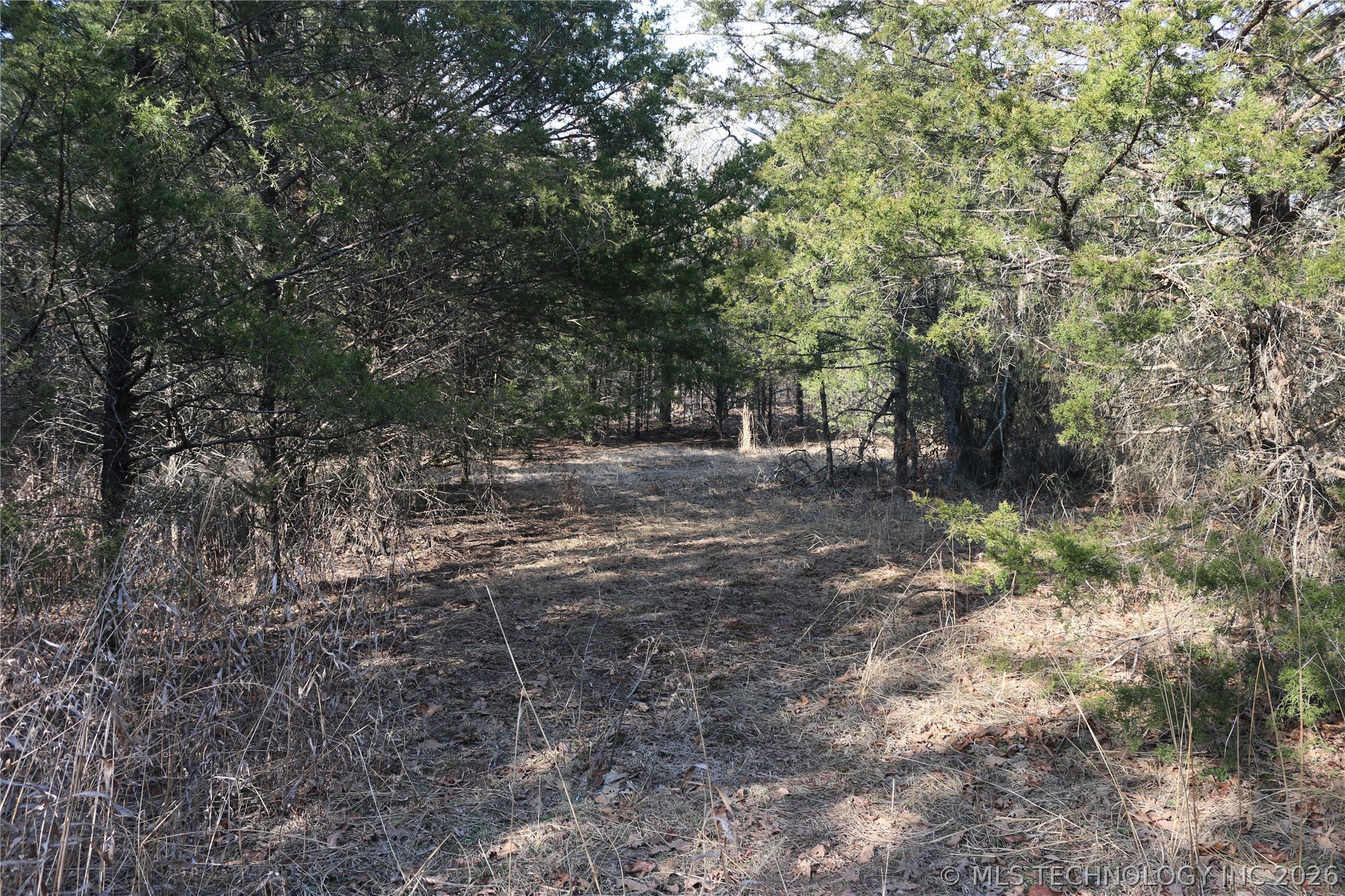 Kirk Mountain Property Photo 10